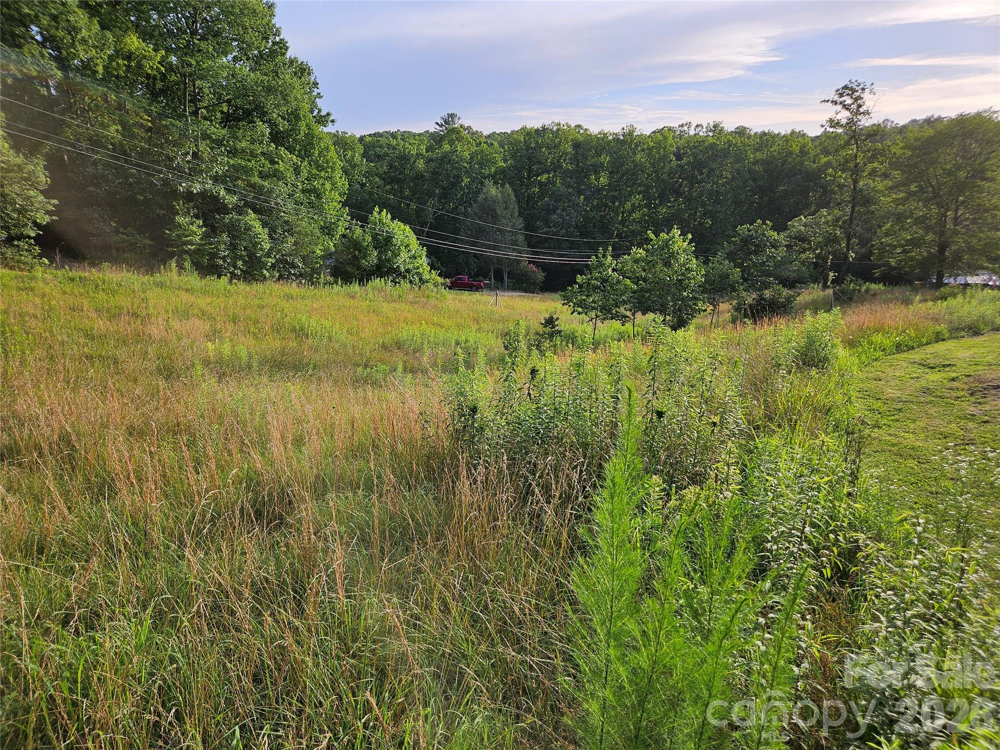 516 John Swofford Road — Nebo
