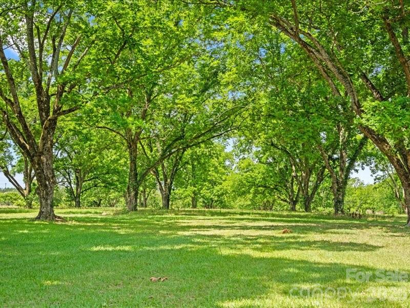 464 Lark Road — Cheraw