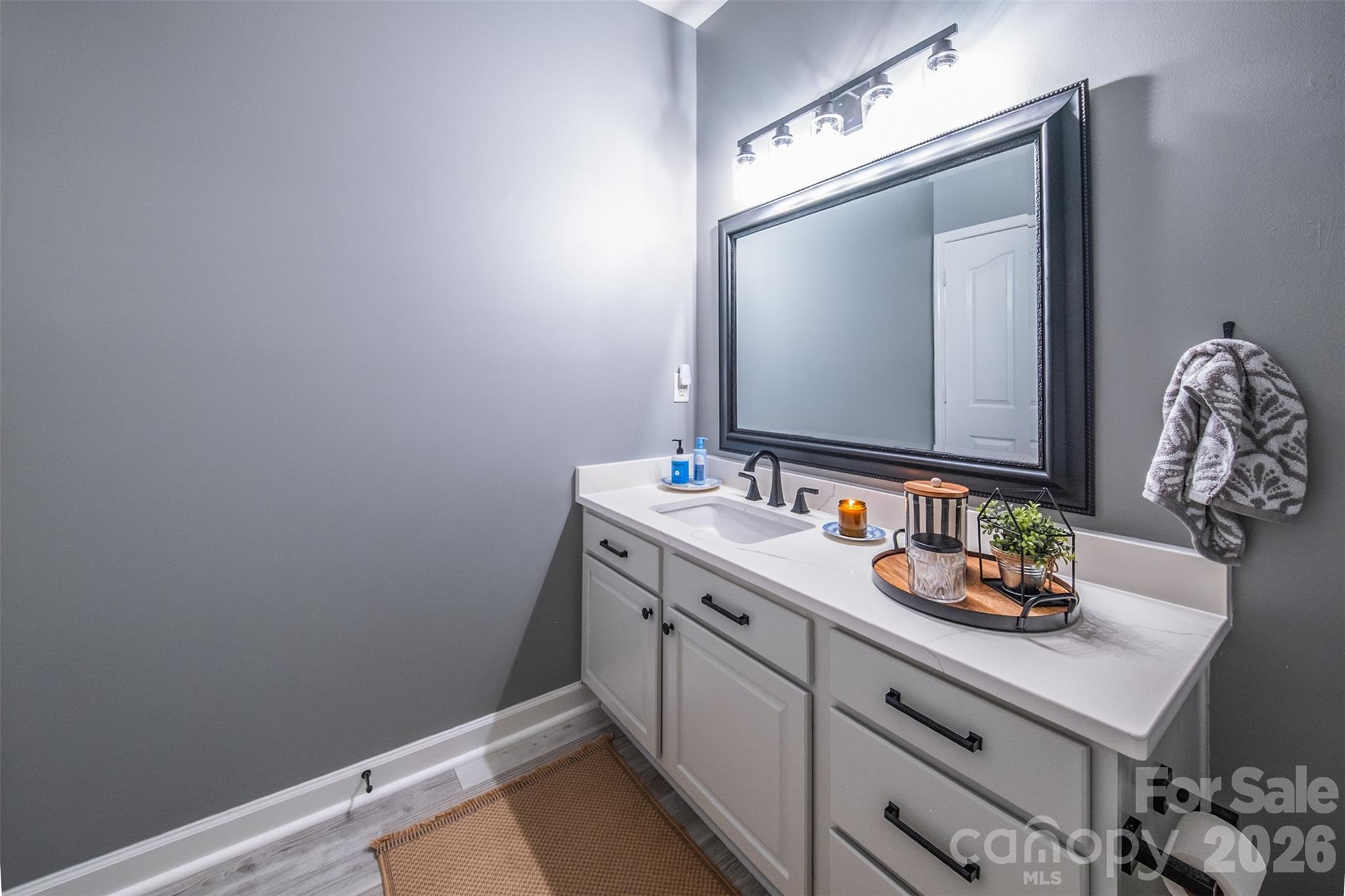 17110 Red Feather Drive — Charlotte