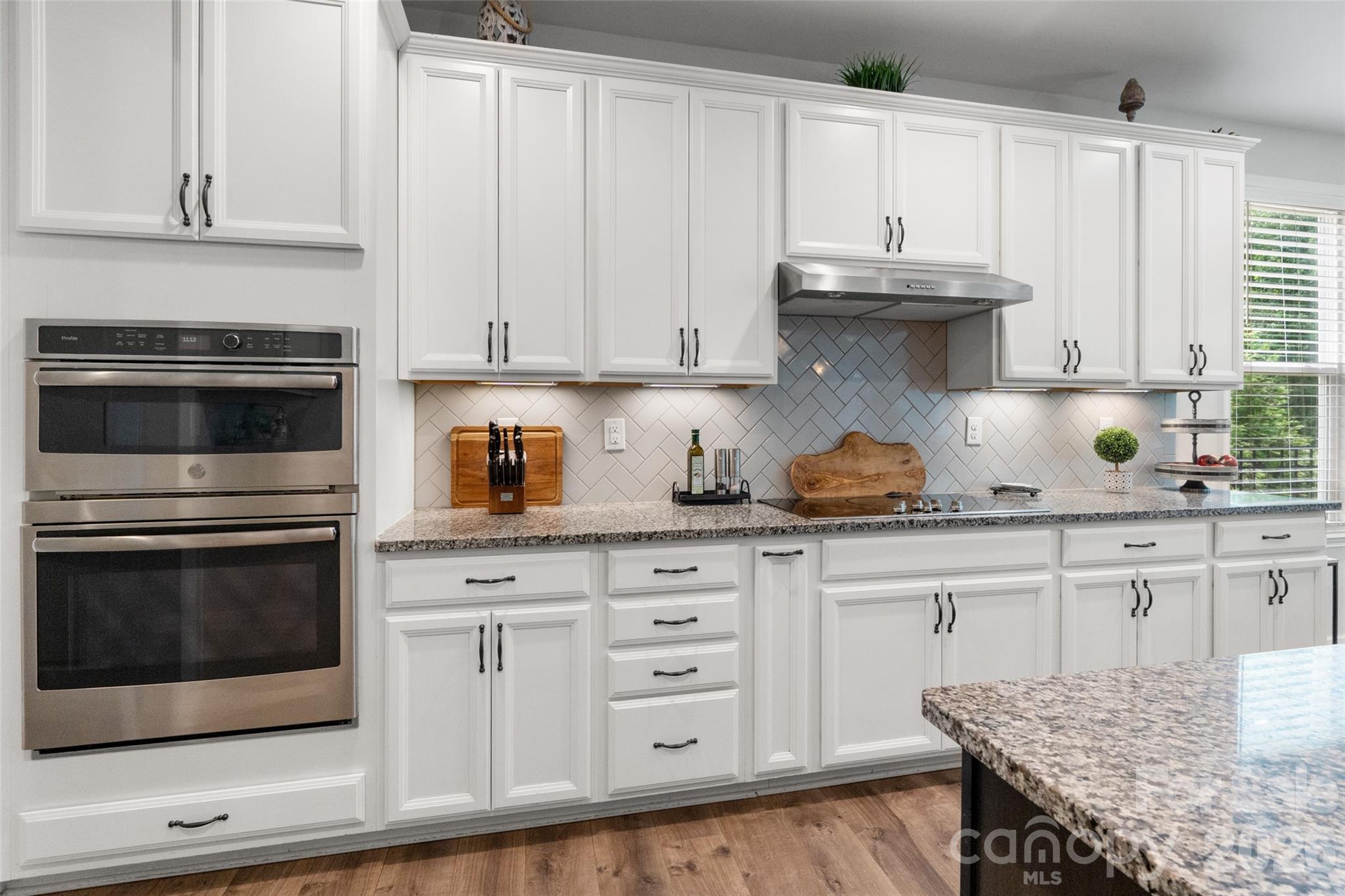 10397 Paper Birch Drive — Charlotte