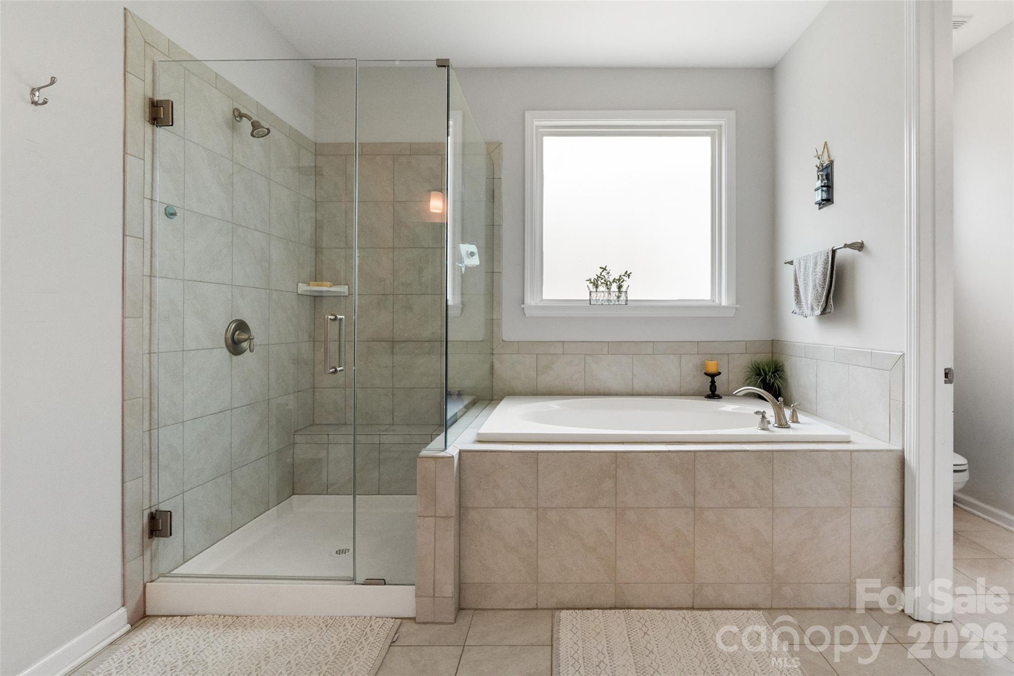 10397 Paper Birch Drive — Charlotte