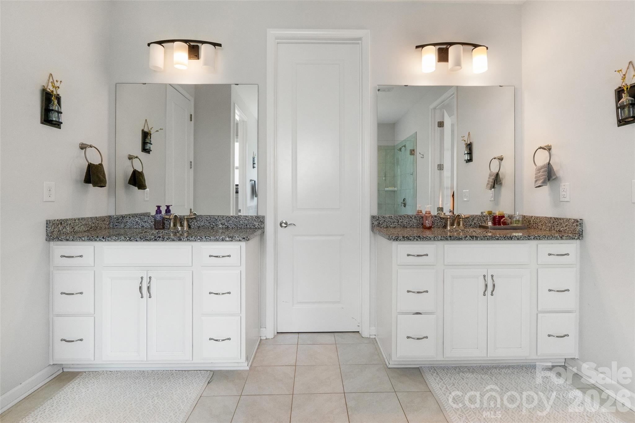 10397 Paper Birch Drive — Charlotte