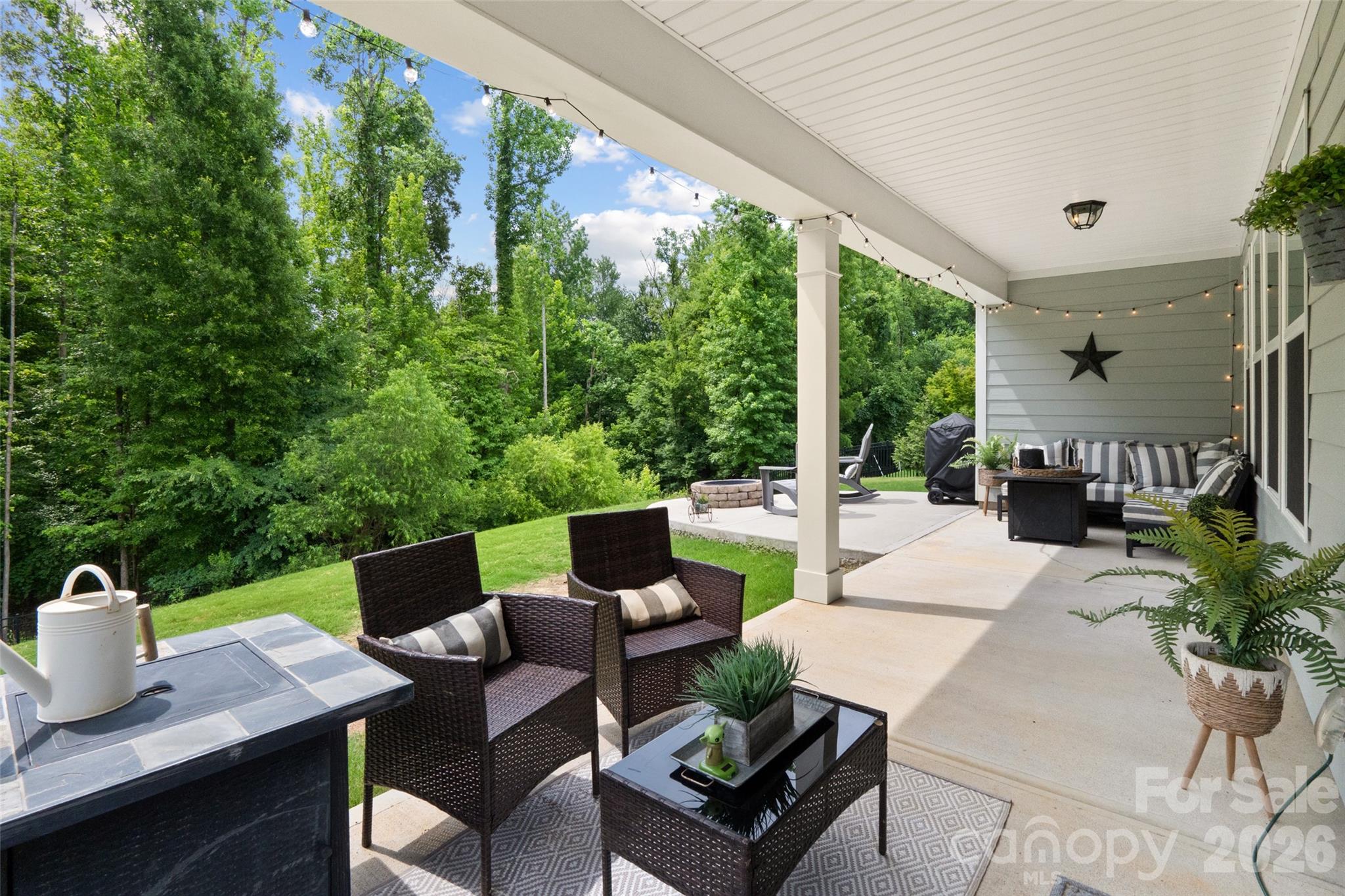 10397 Paper Birch Drive — Charlotte