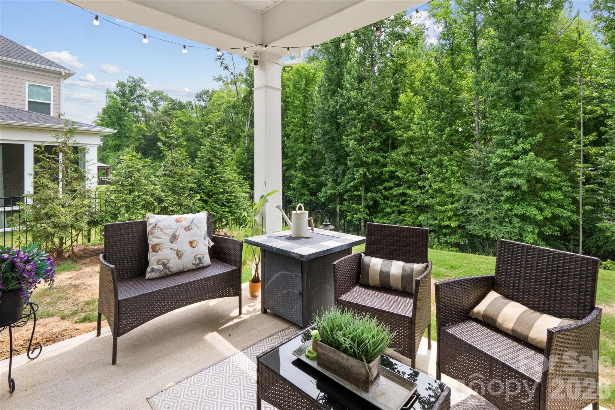 10397 Paper Birch Drive — Charlotte