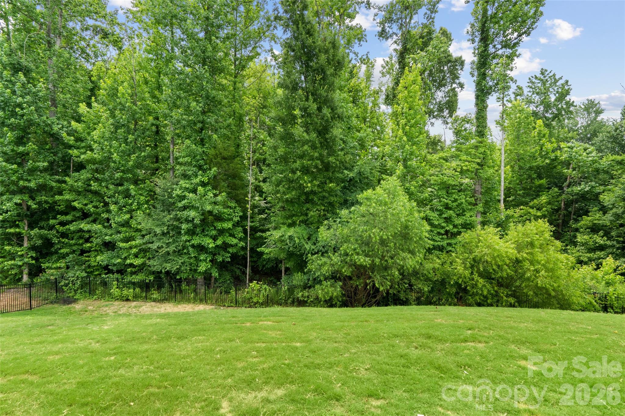 10397 Paper Birch Drive — Charlotte