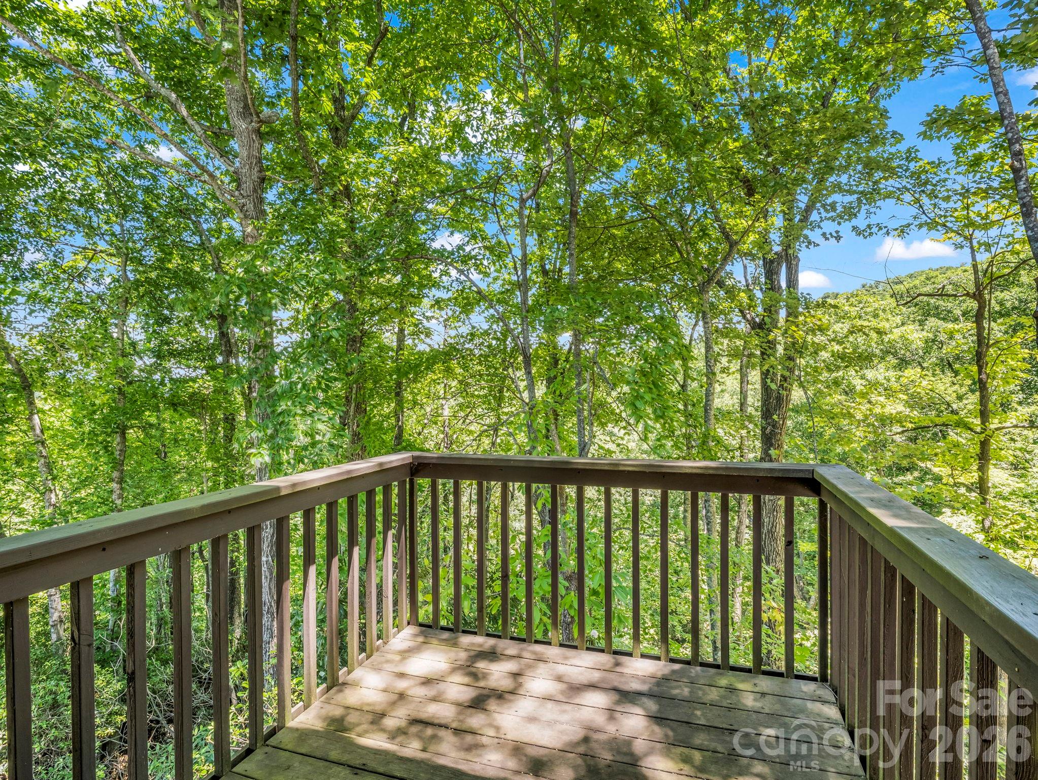 182 Antler Ridge — Rosman