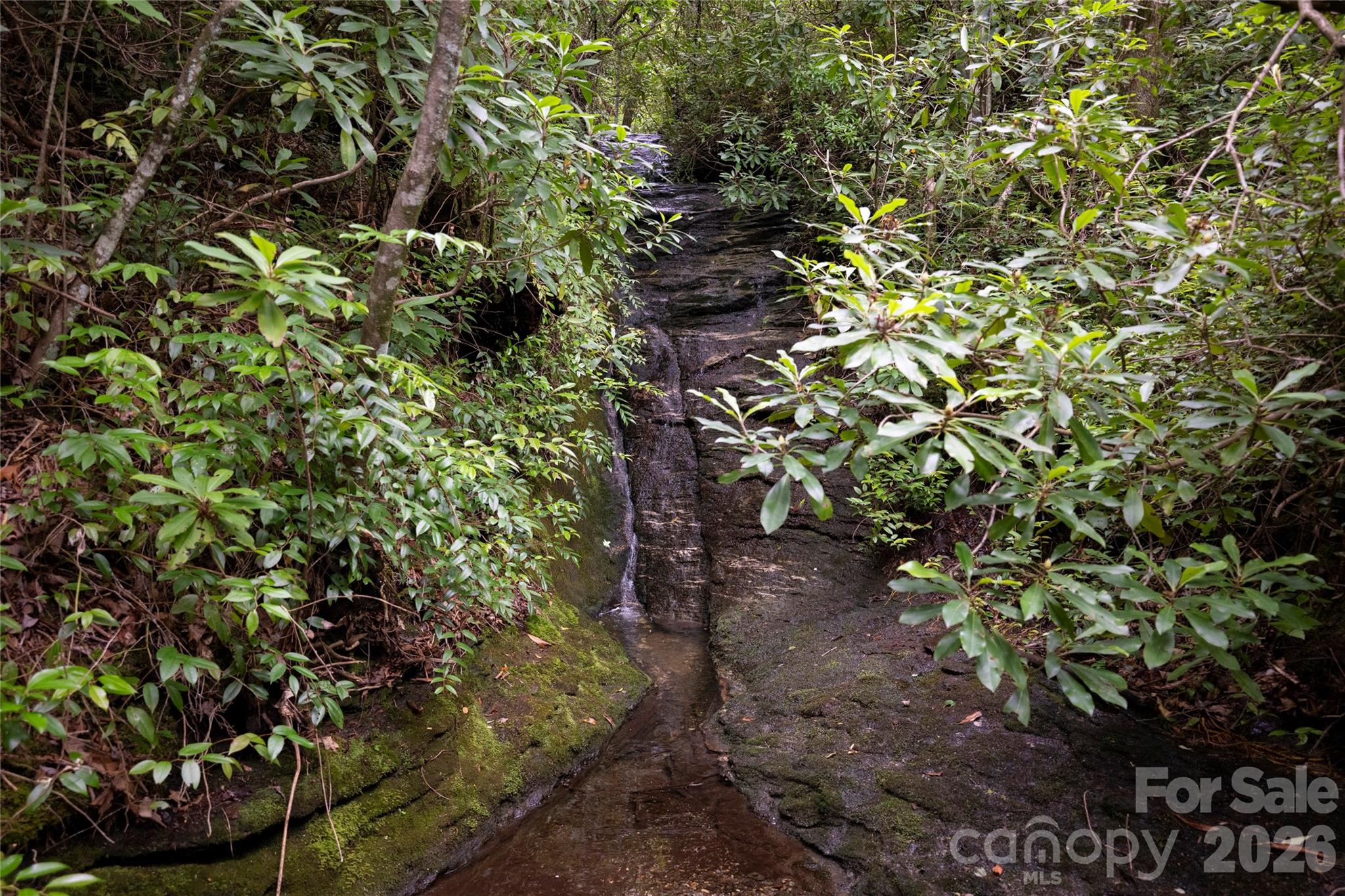 100 Meadow Ridge Drive — Lake Toxaway