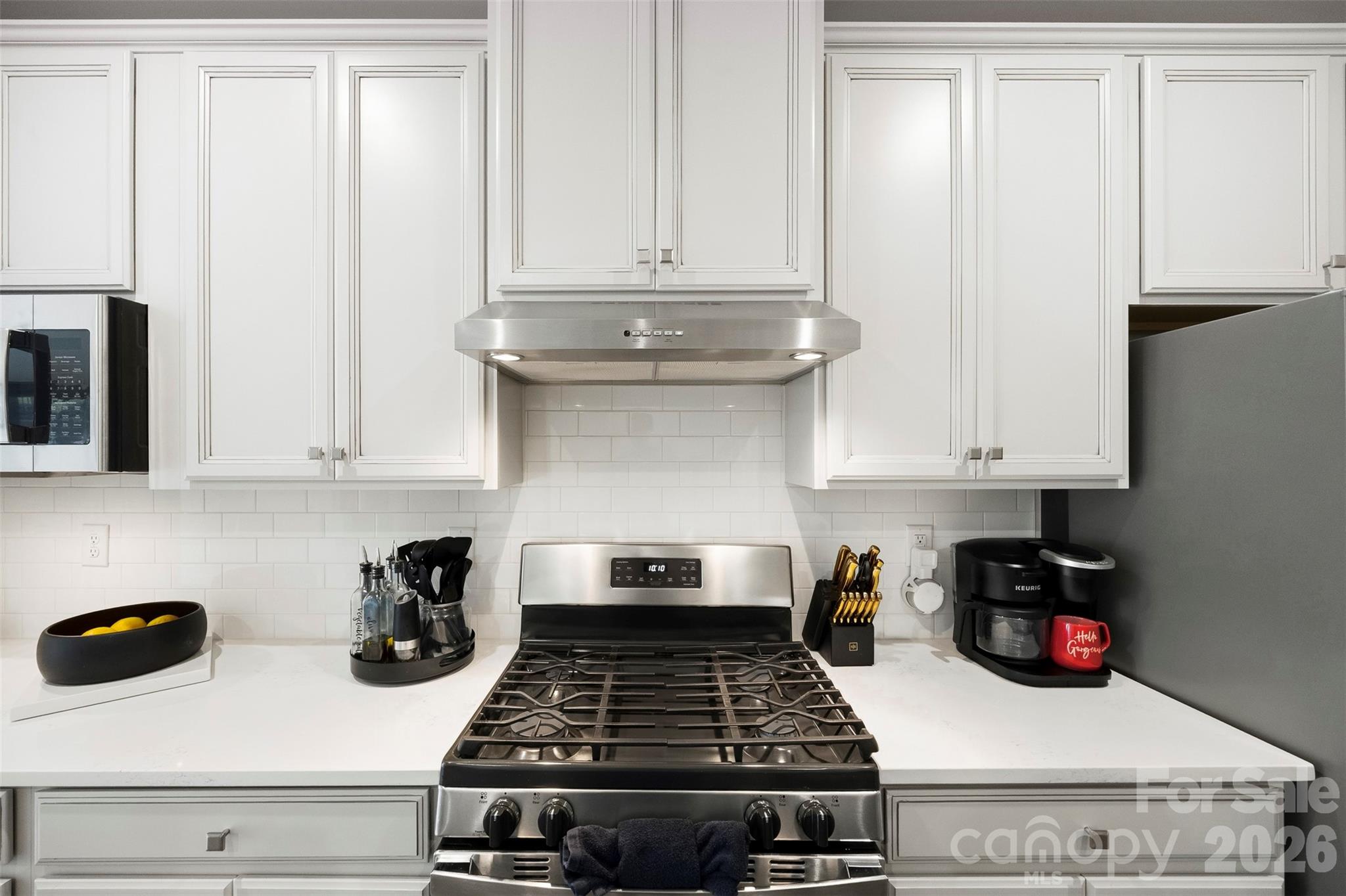 6234 Ashton Park Drive — Denver