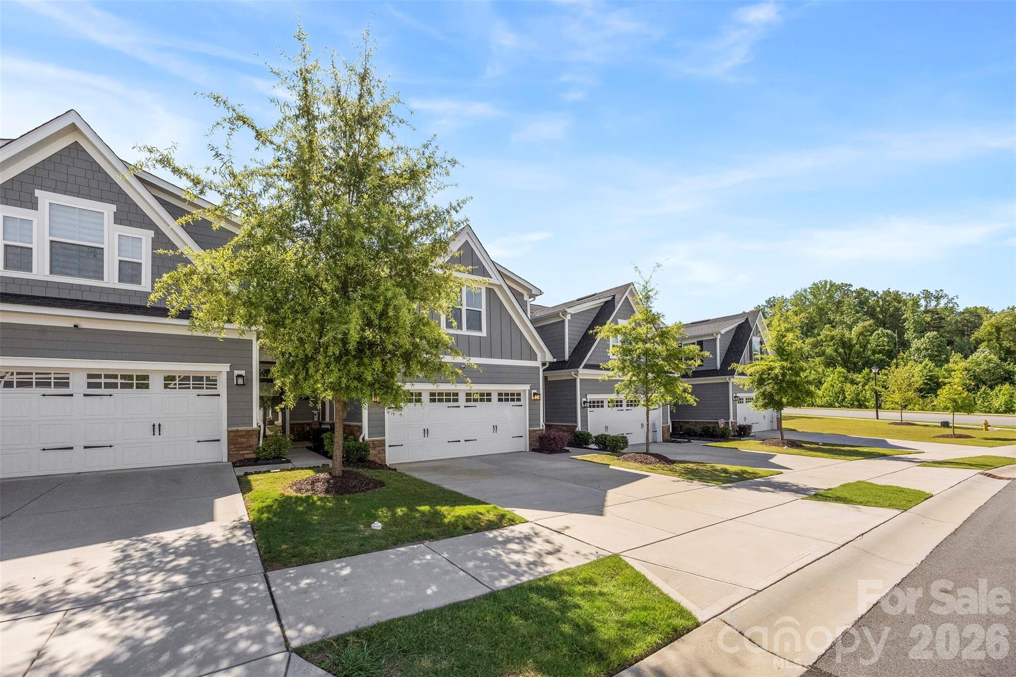 6234 Ashton Park Drive — Denver