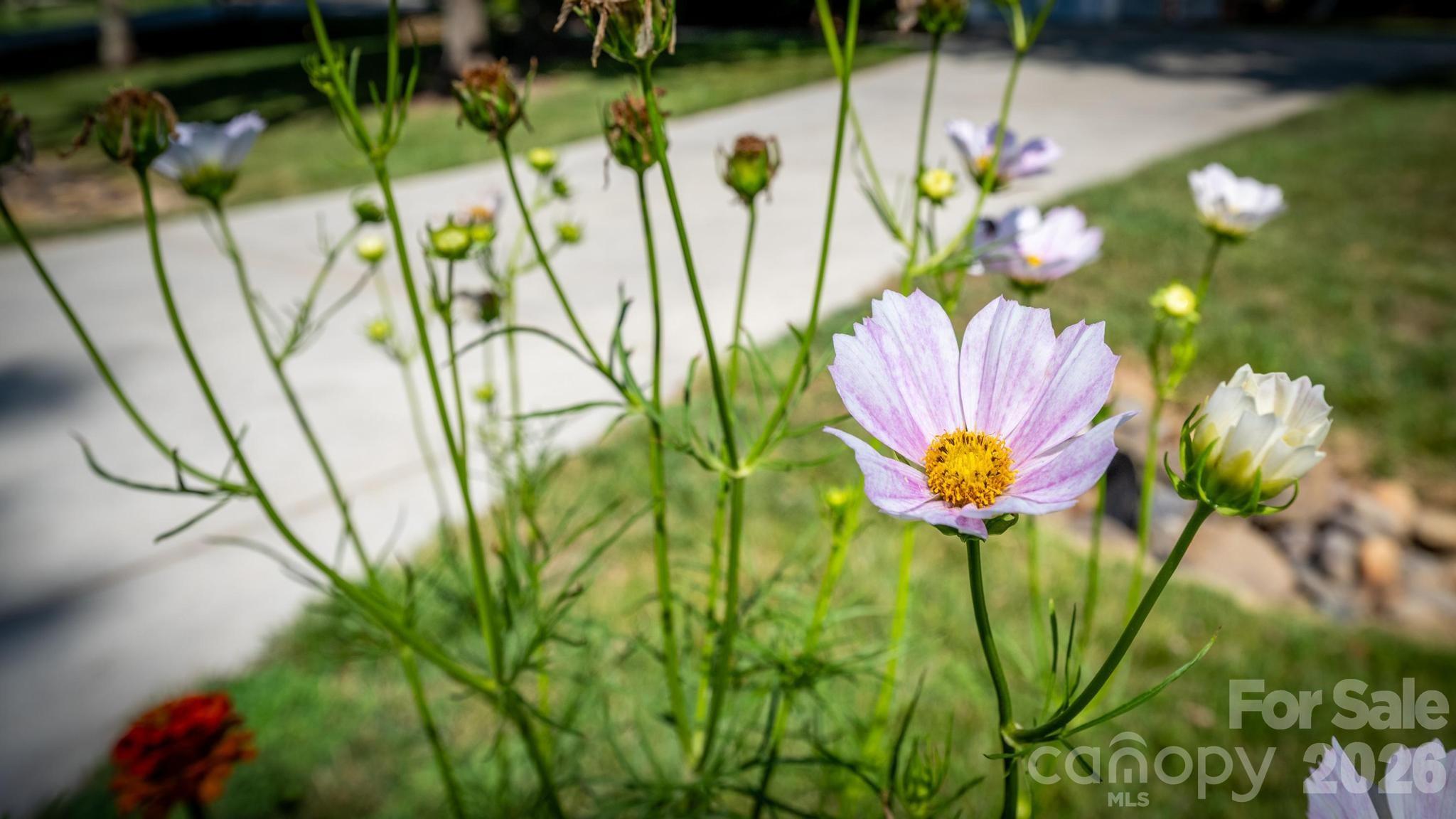 7933 Sally Clark Drive — Denver