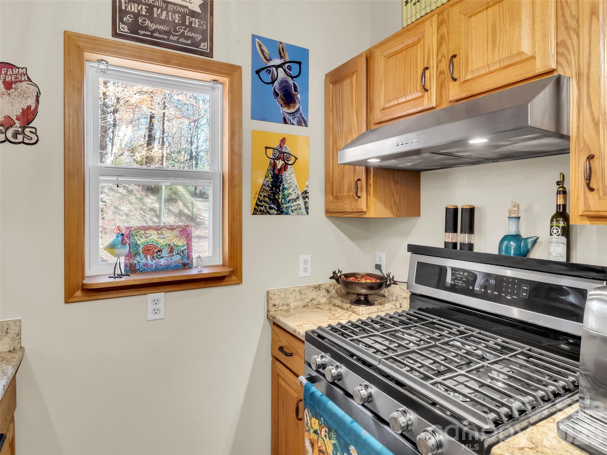 245 Greenview Drive — Maggie Valley