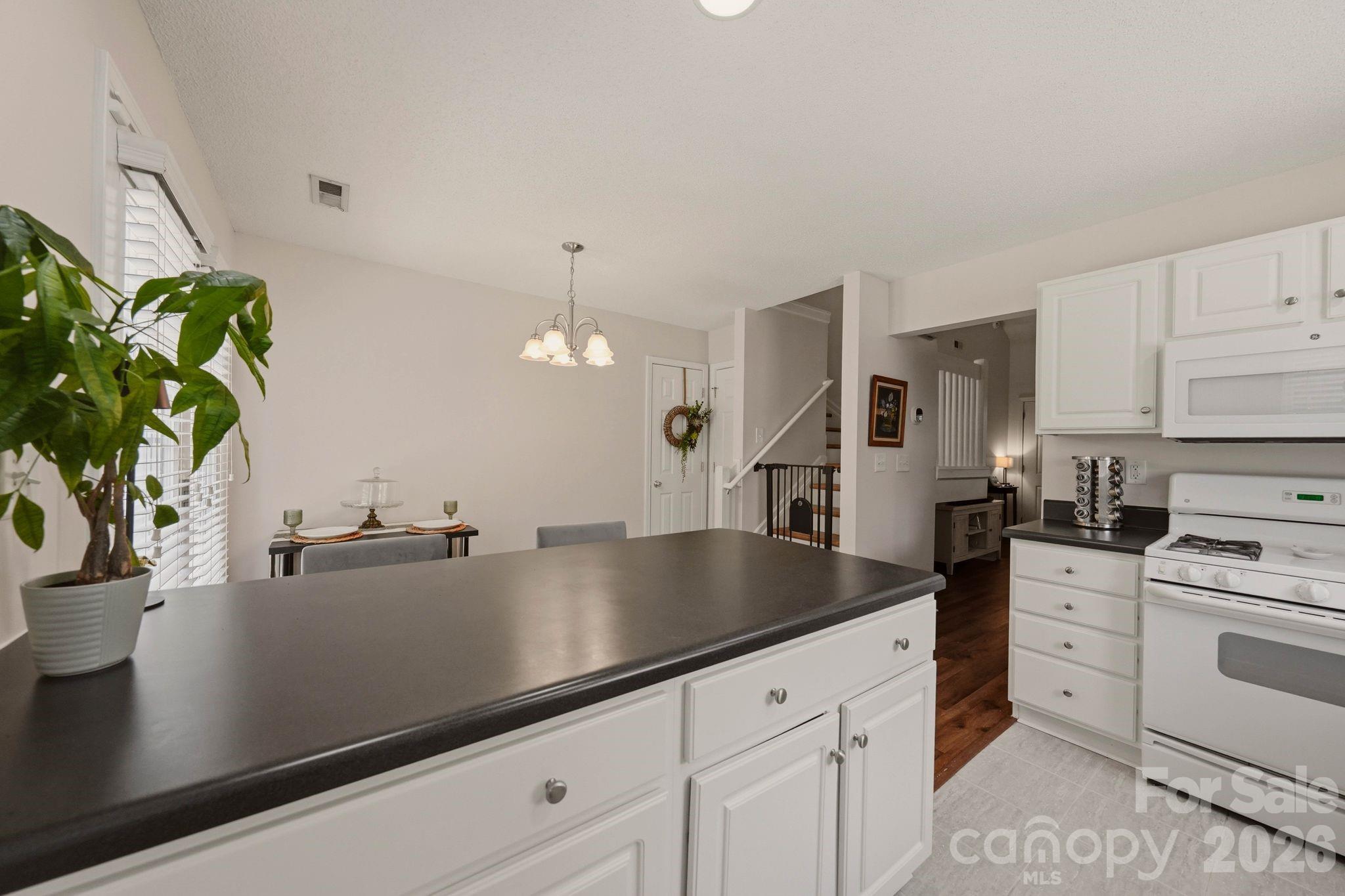 12446 Hennigan Place Lane — Charlotte