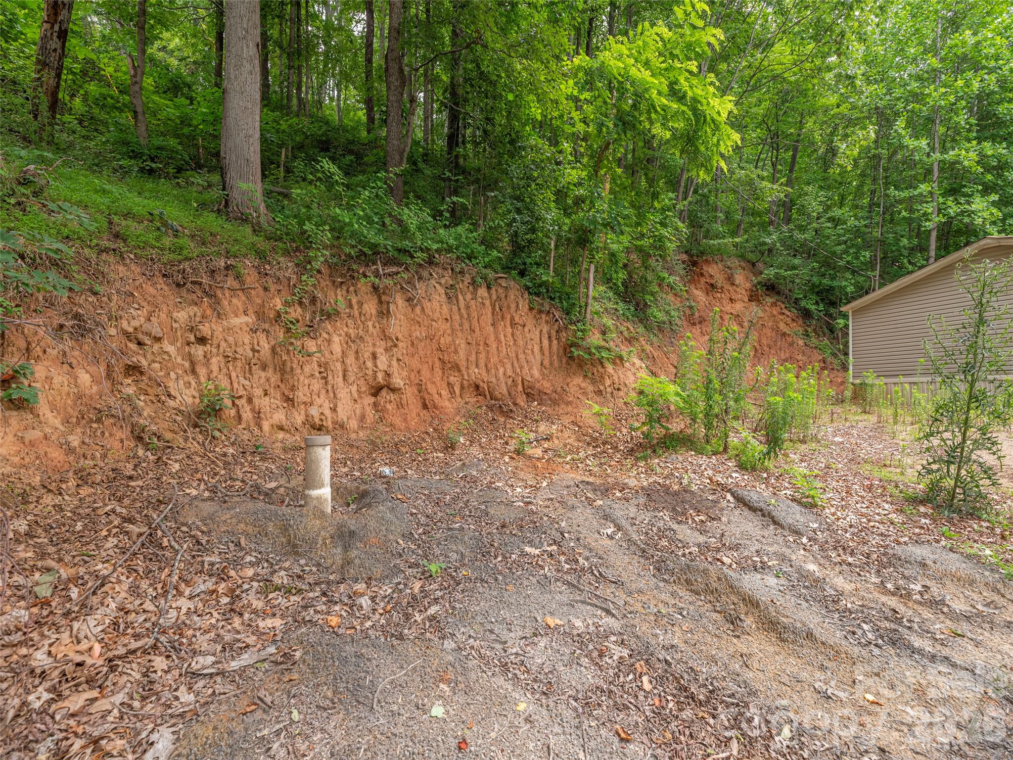 87 Holly Ridge Road — Candler