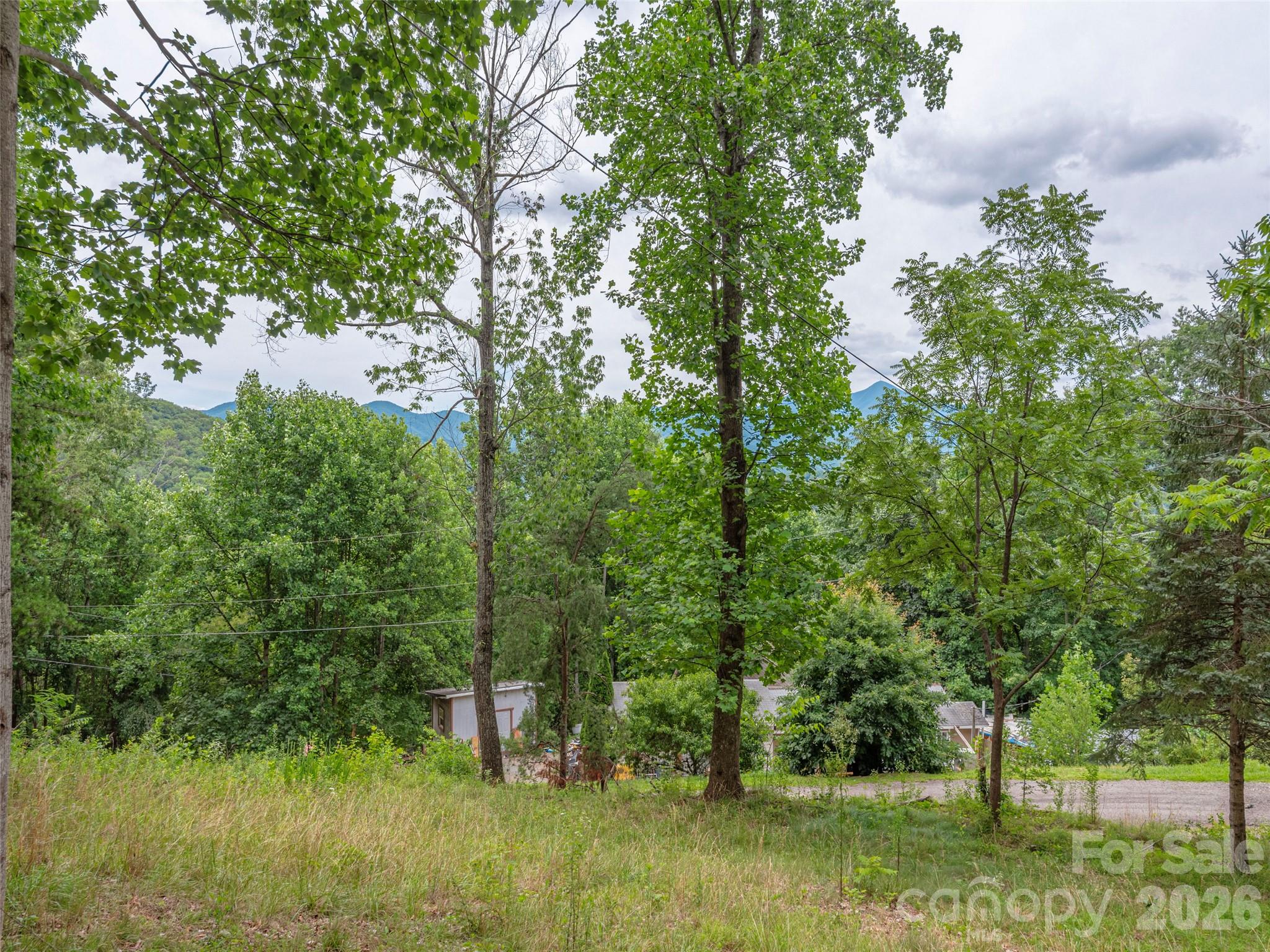 87 Holly Ridge Road — Candler