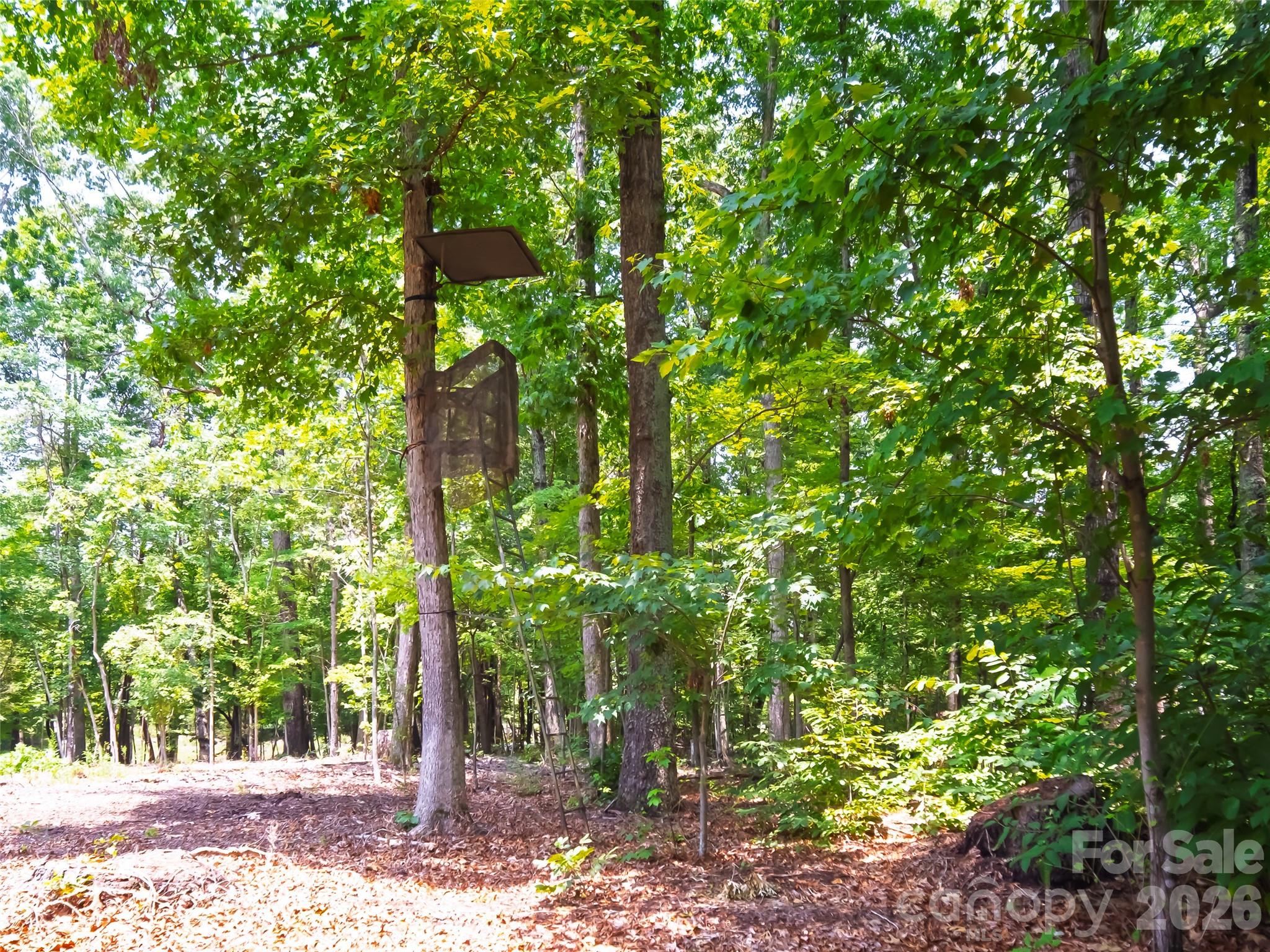 607 Bethany Road — Gastonia