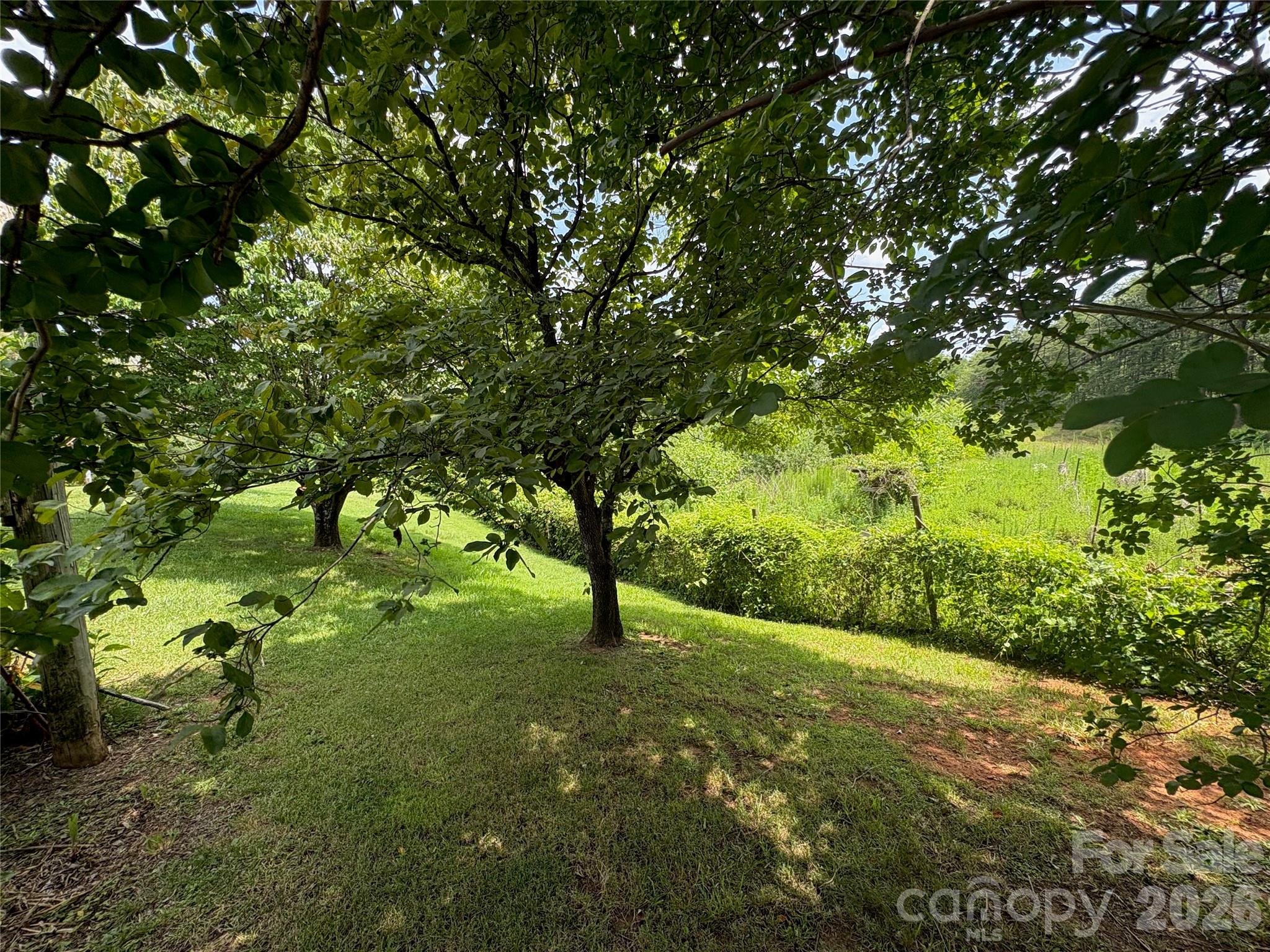 1812 Freemantown Road — Lake Lure