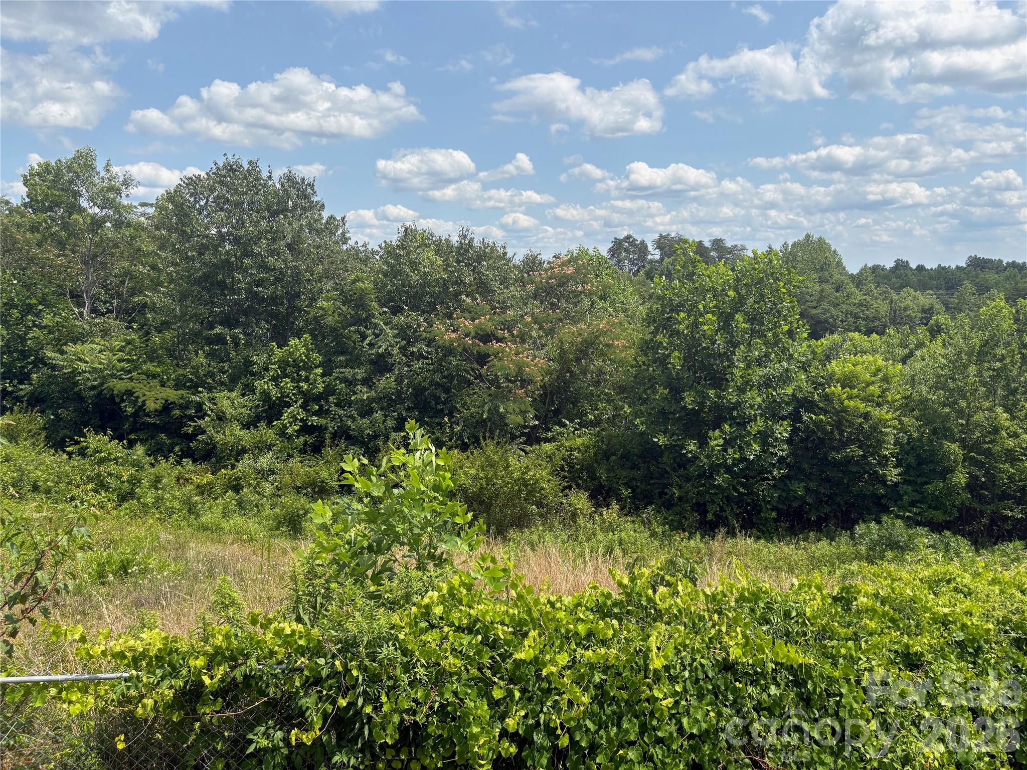 1812 Freemantown Road — Lake Lure
