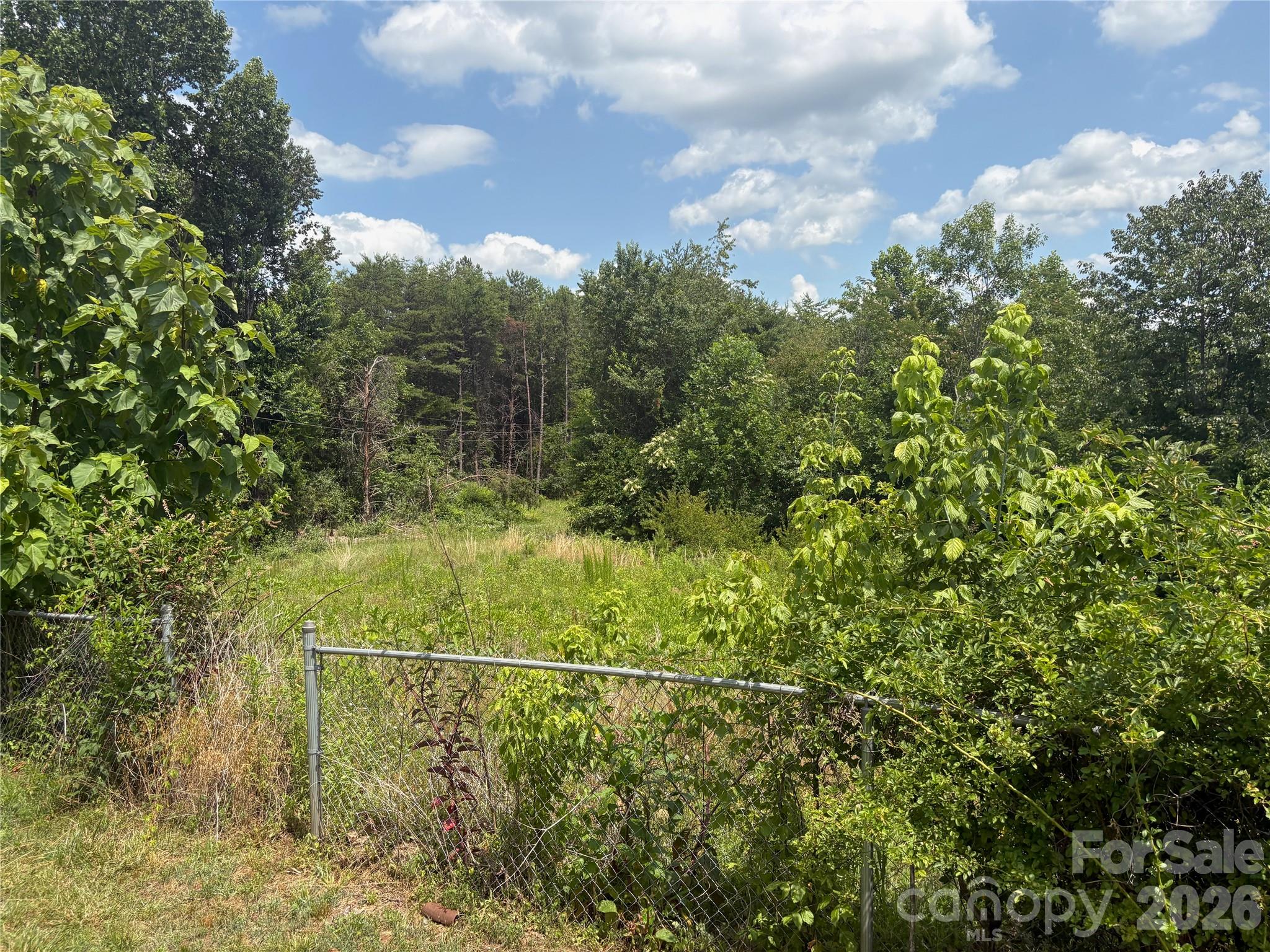 1812 Freemantown Road — Lake Lure
