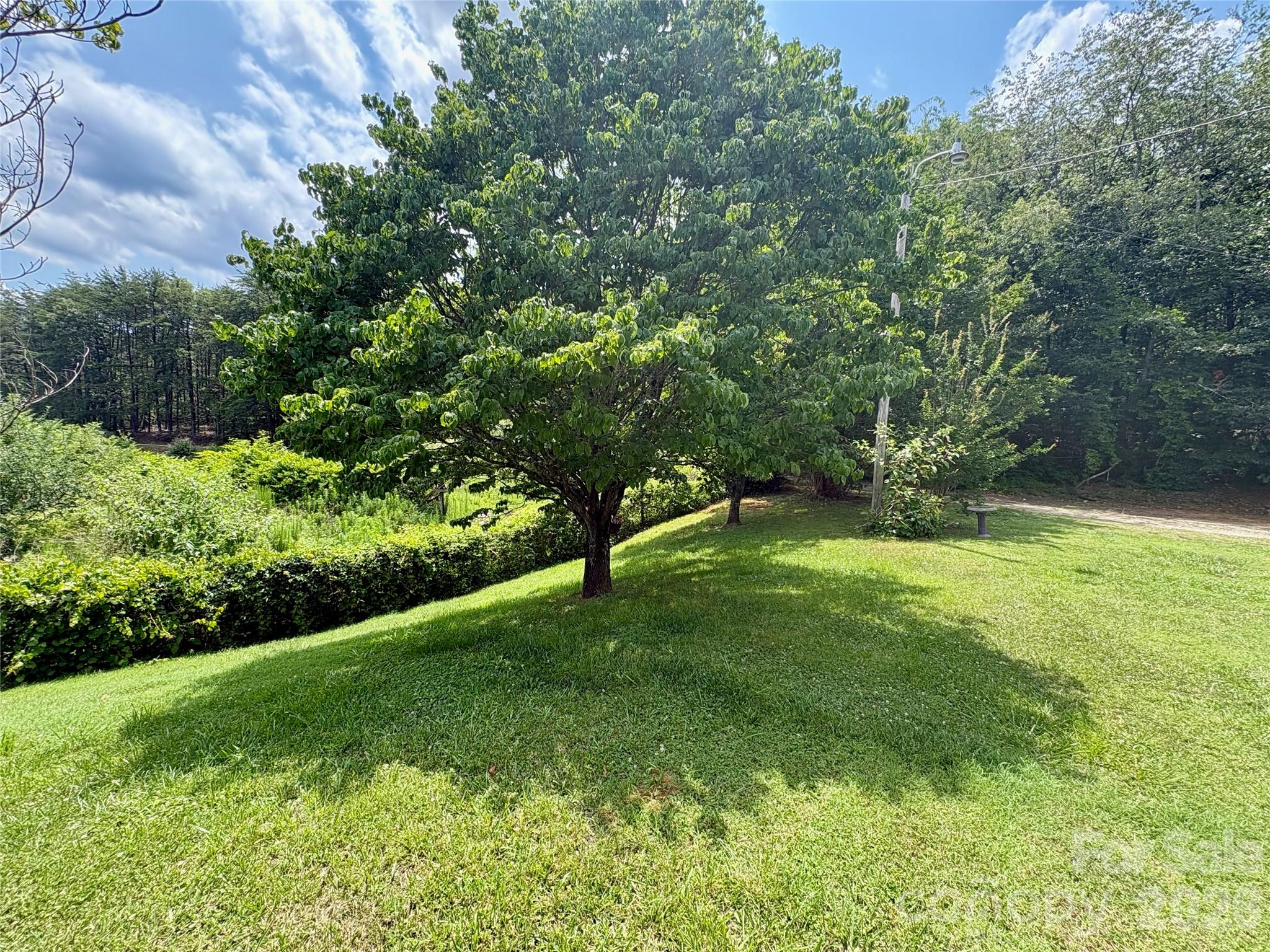 1812 Freemantown Road — Lake Lure