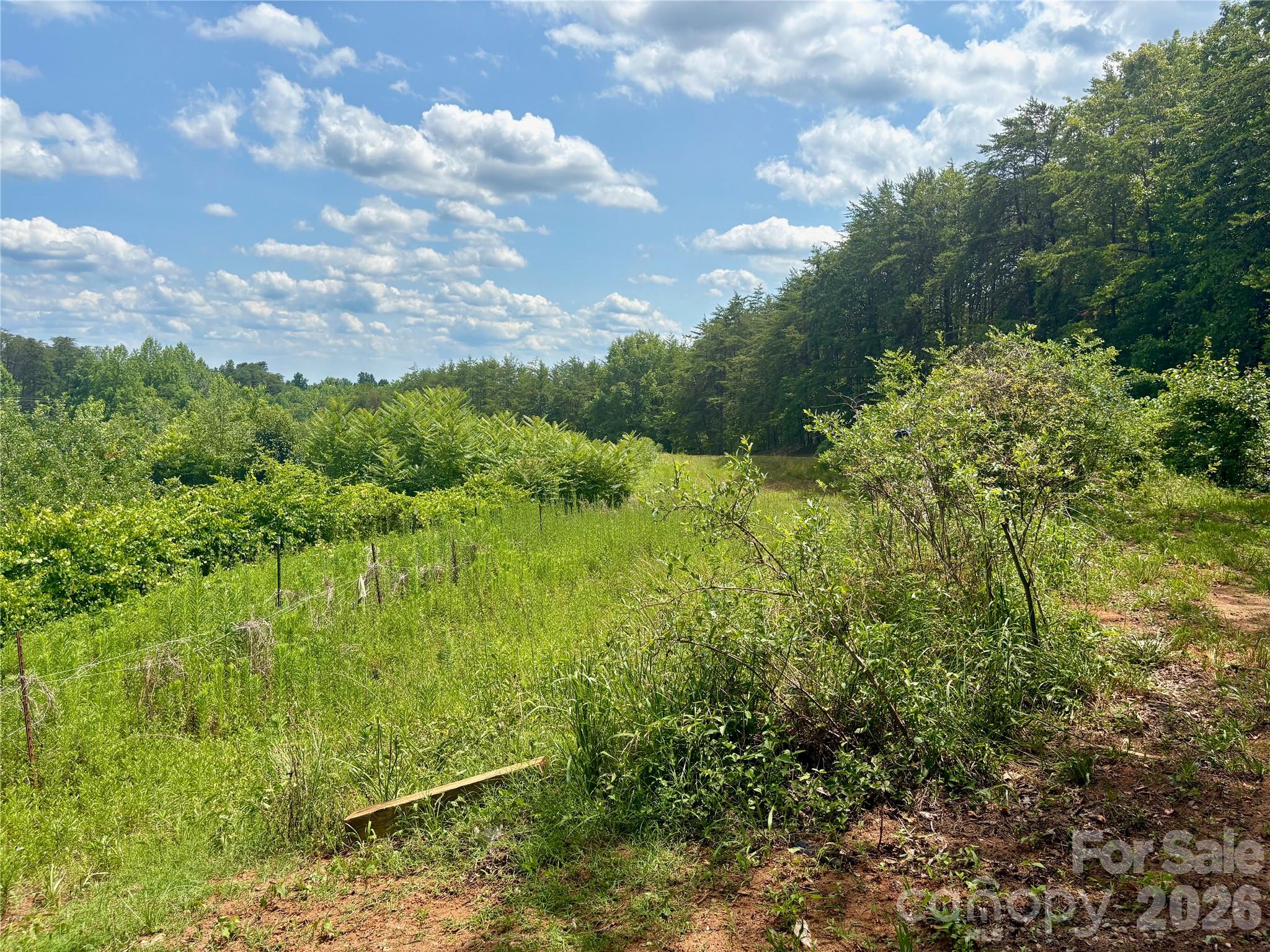 1812 Freemantown Road — Lake Lure