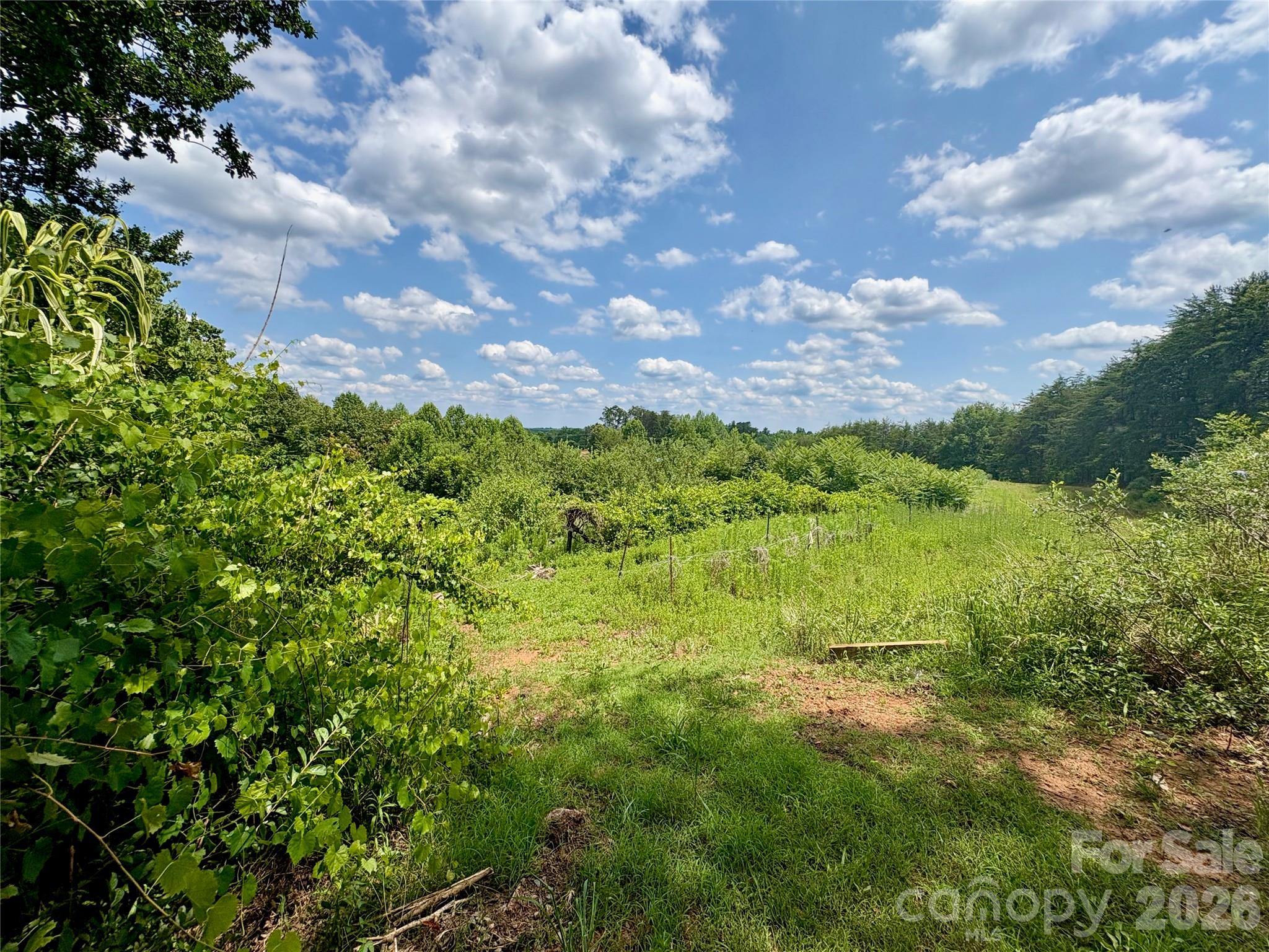 1812 Freemantown Road — Lake Lure
