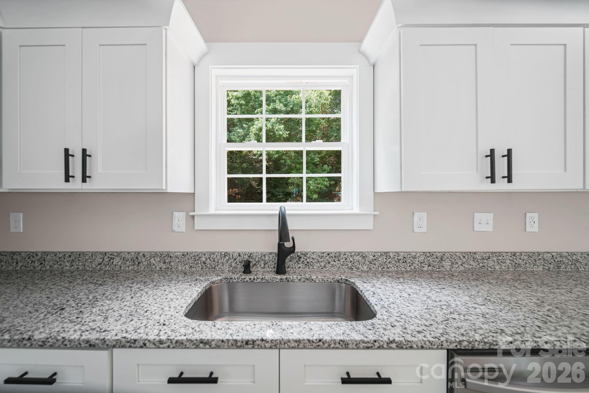 1829 Kingsley Street — Albemarle