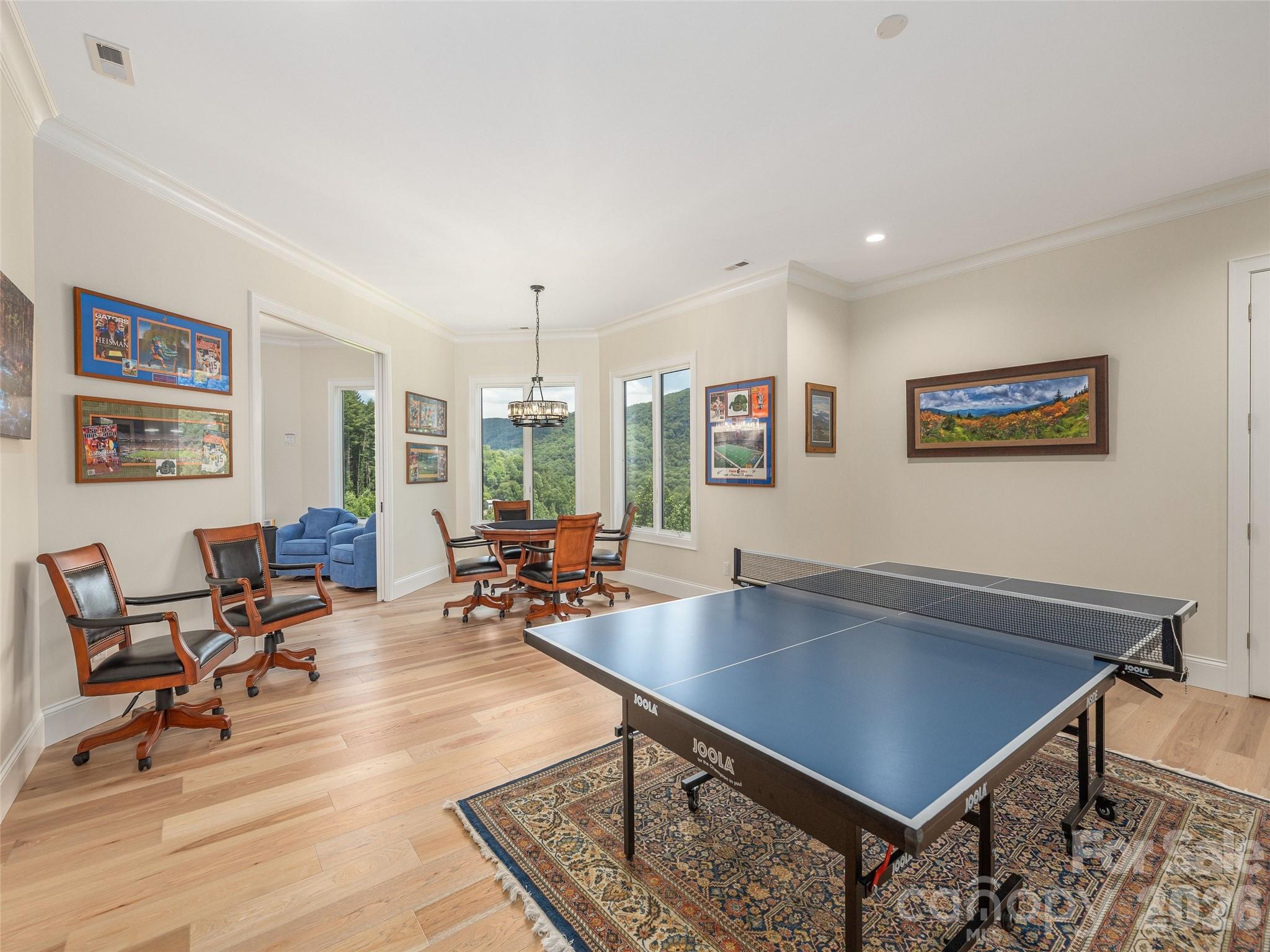 167 Southpoint Ridge — Maggie Valley