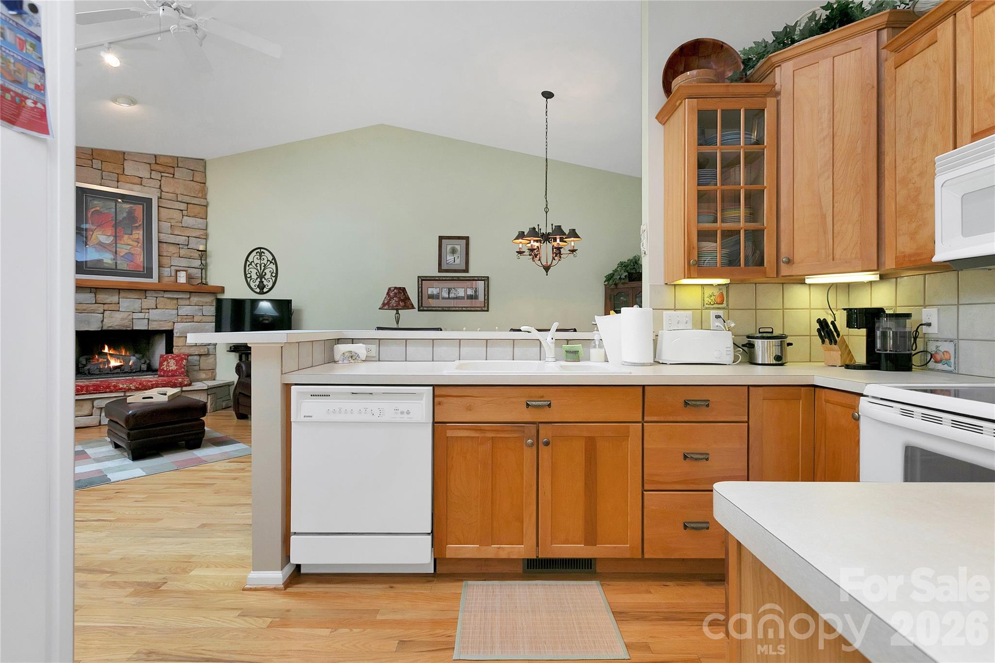 2641 Connestee Trail #L7/U68 — Brevard