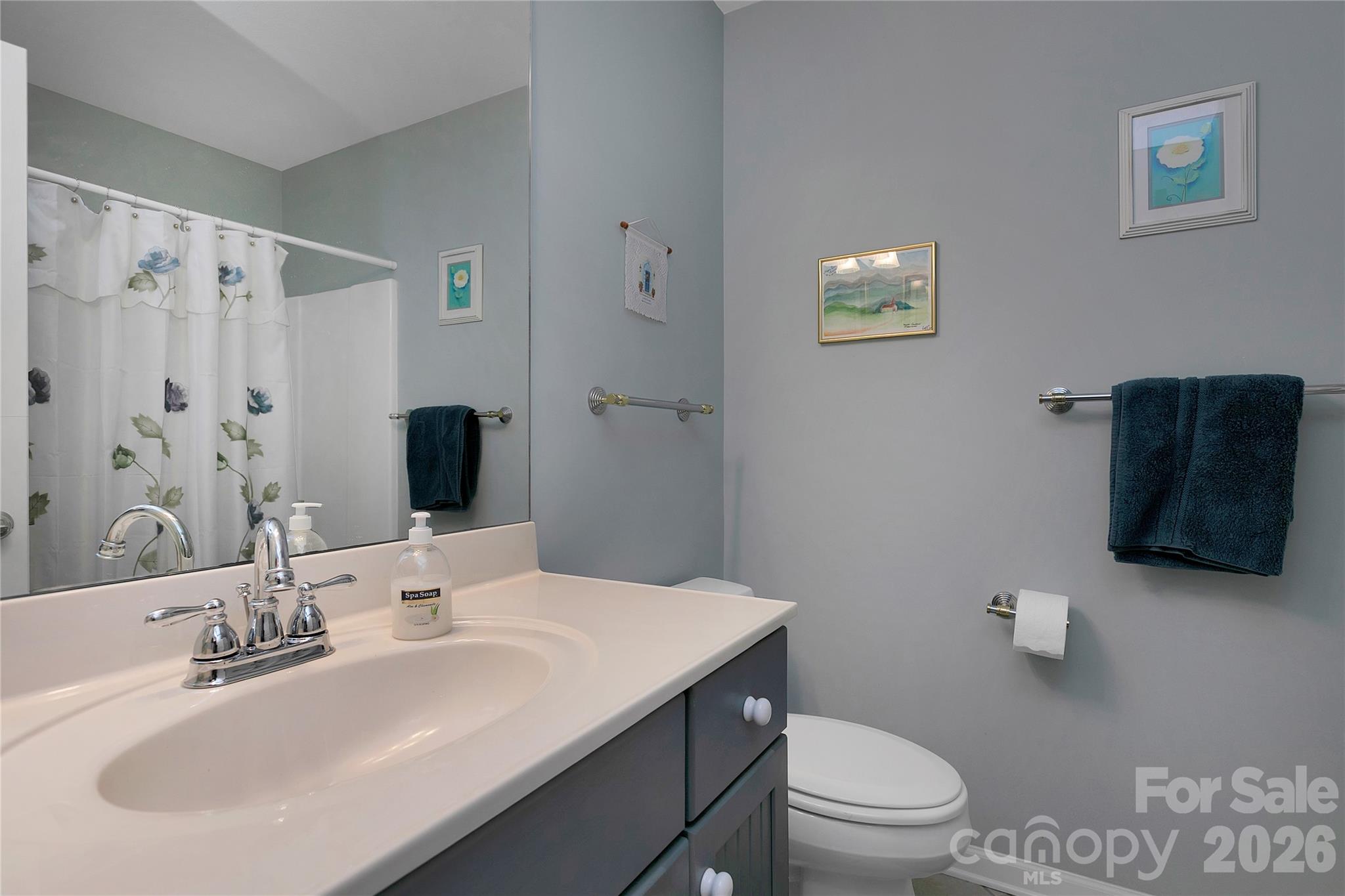 2641 Connestee Trail #L7/U68 — Brevard