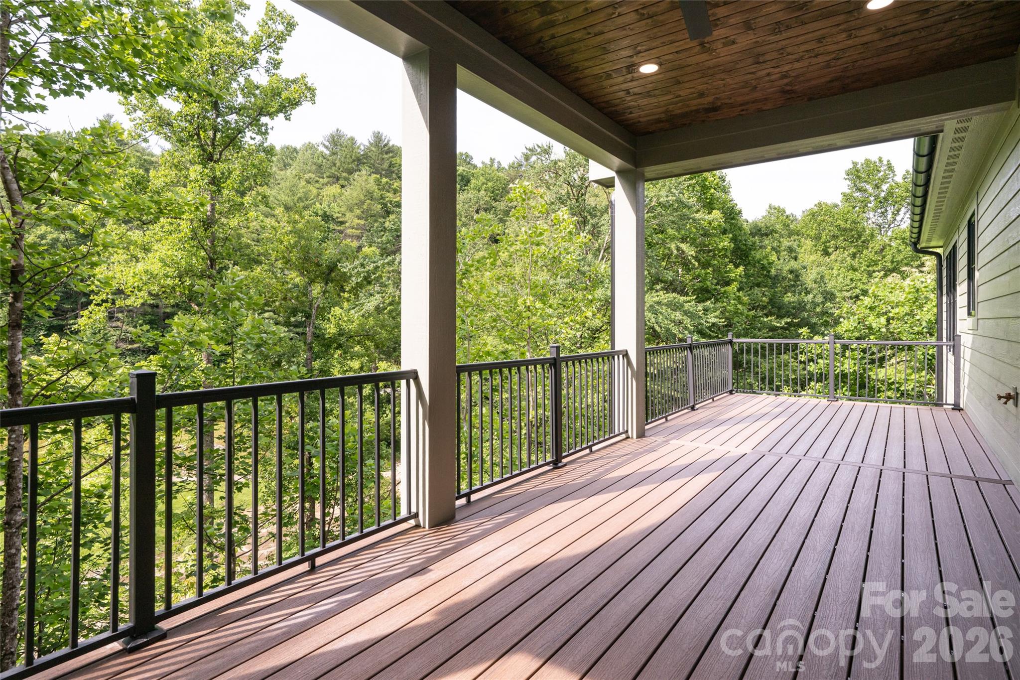 58 Blackgum Court — Hendersonville