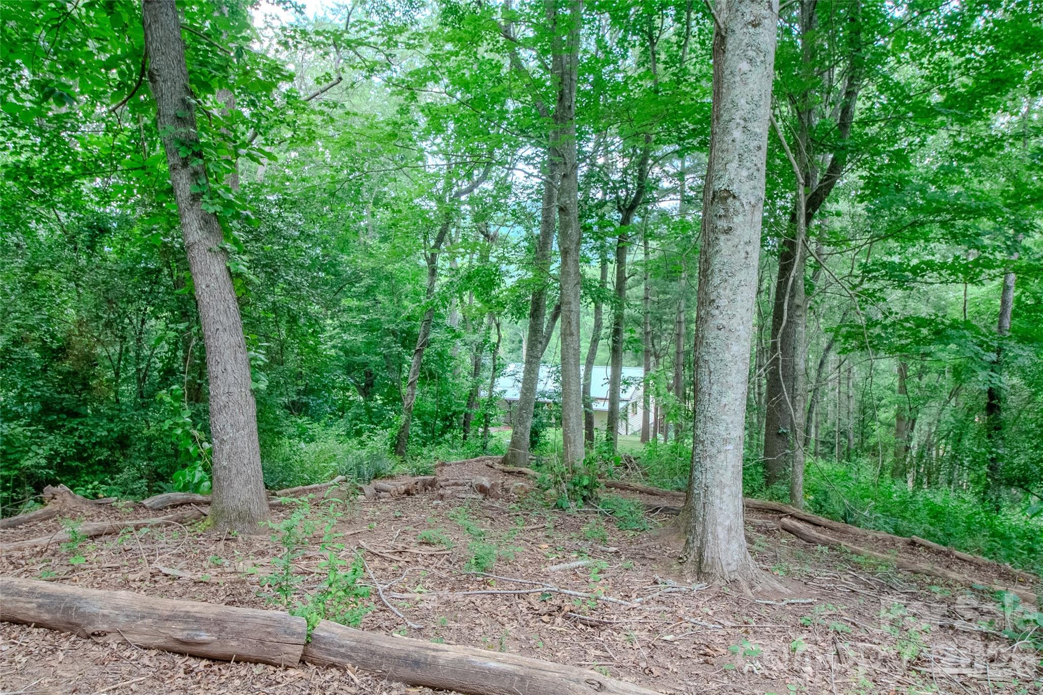 49 Jake Drive — Canton