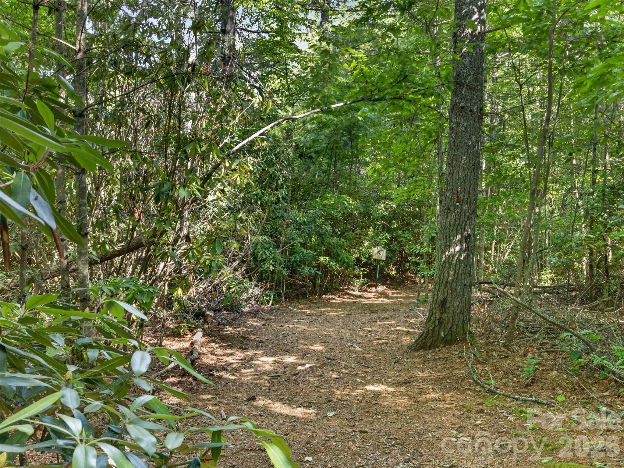 435 Allen Mountain Lane — Spruce Pine