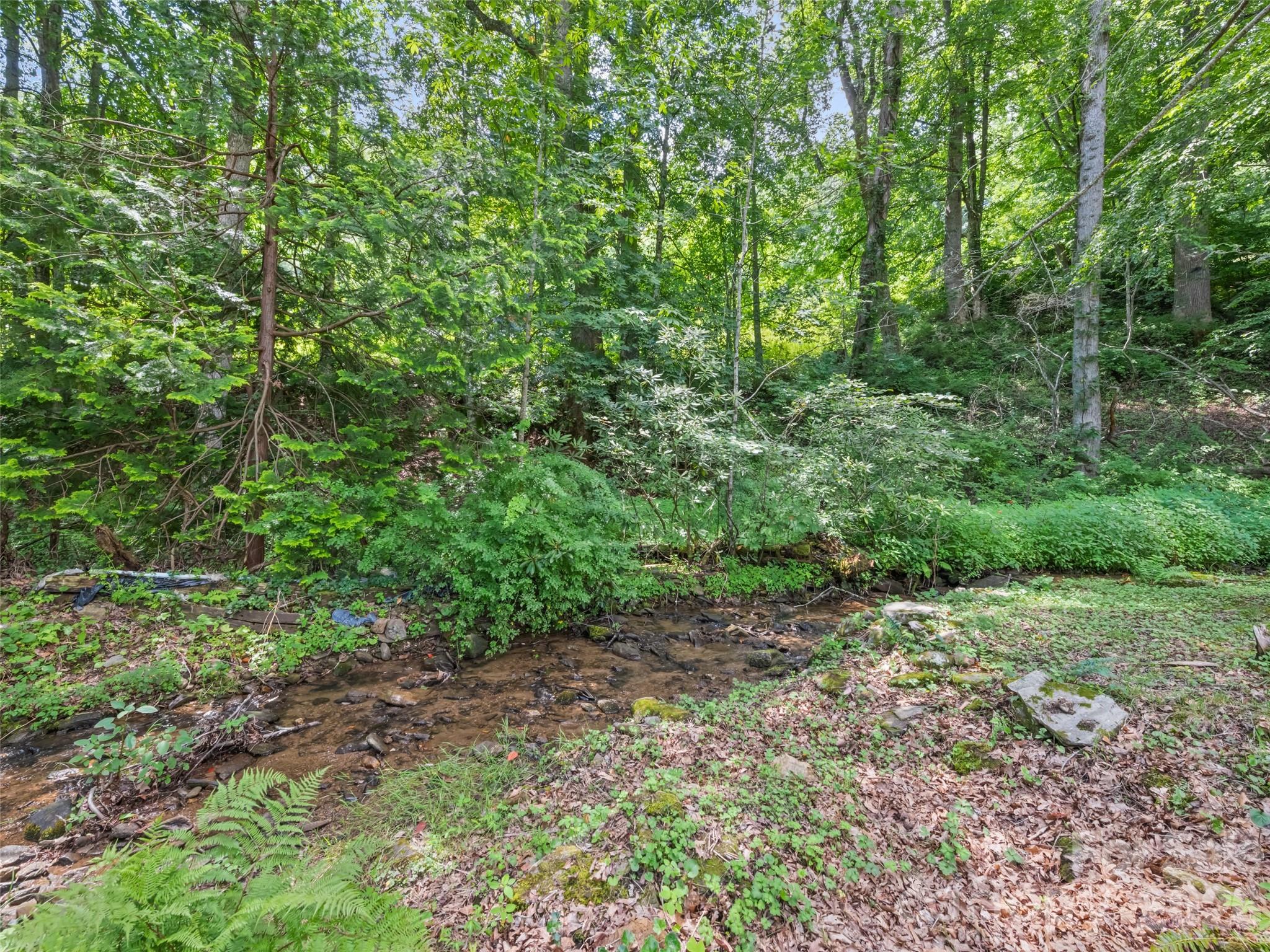 64 Turner Branch — Maggie Valley