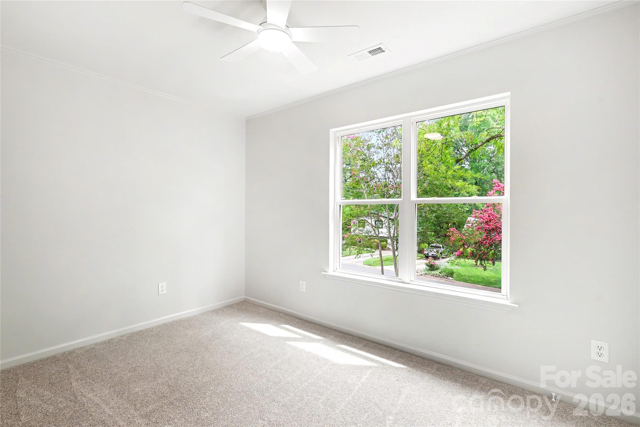 3834 Moultrie Street — Charlotte