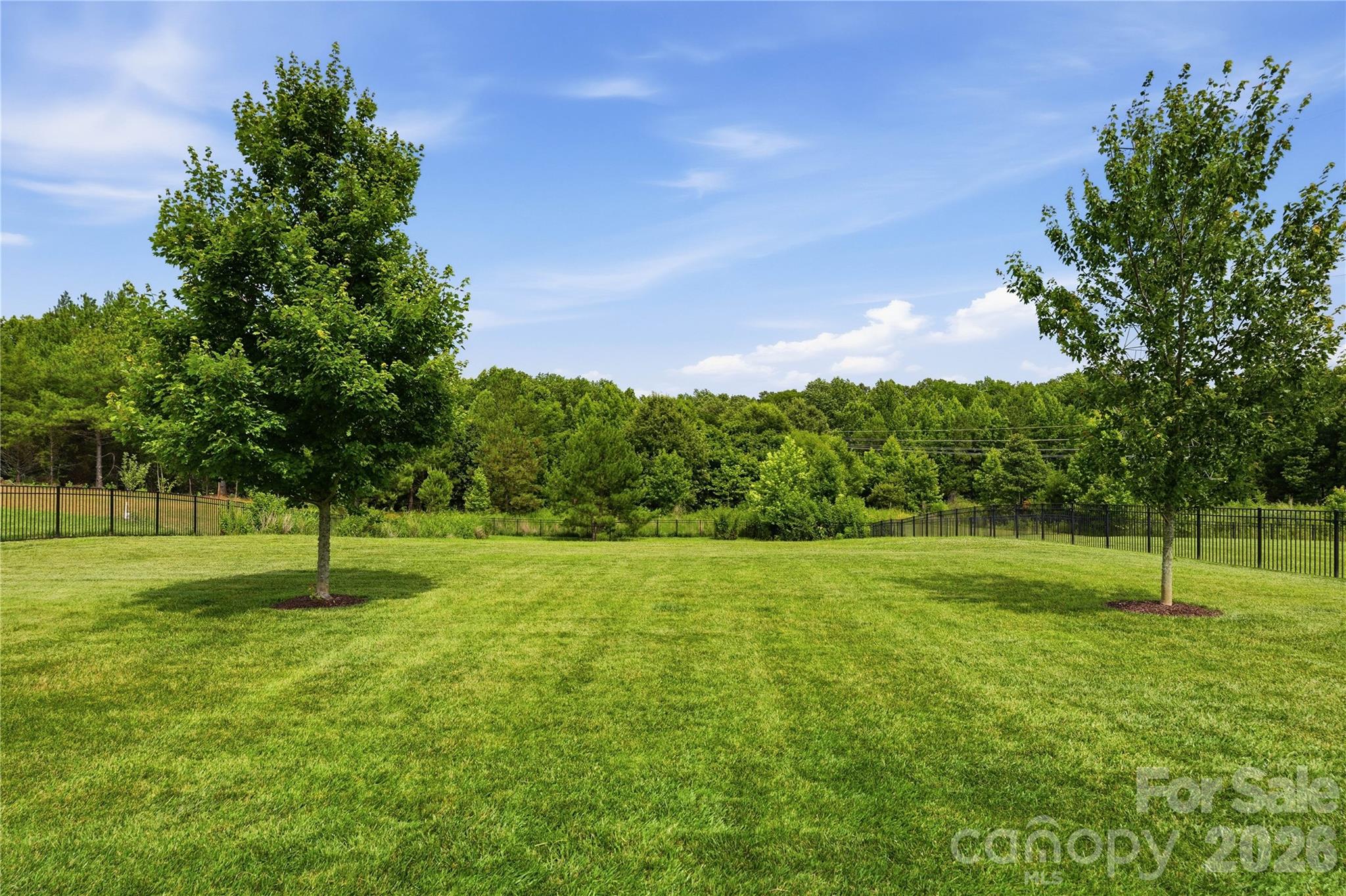 1202 Oleander Lane — Waxhaw