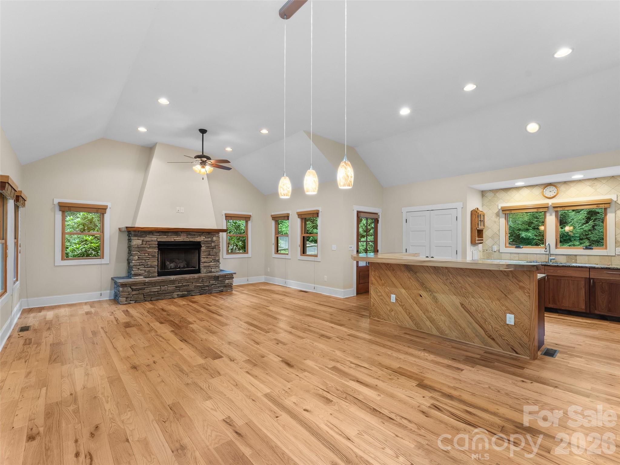 165 South Hill Drive — Brevard