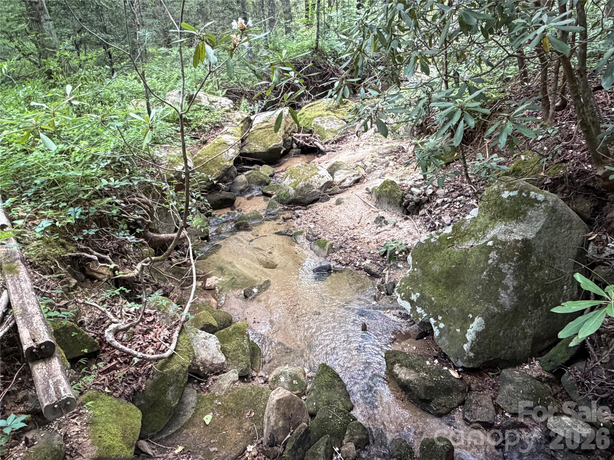 141 Hemlock Lane #3 — Lake Lure