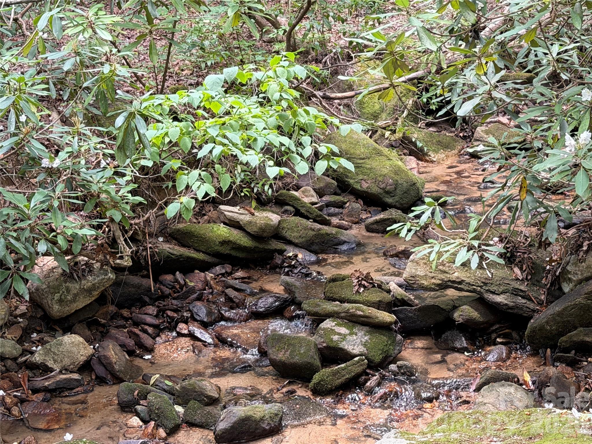 141 Hemlock Lane #3 — Lake Lure