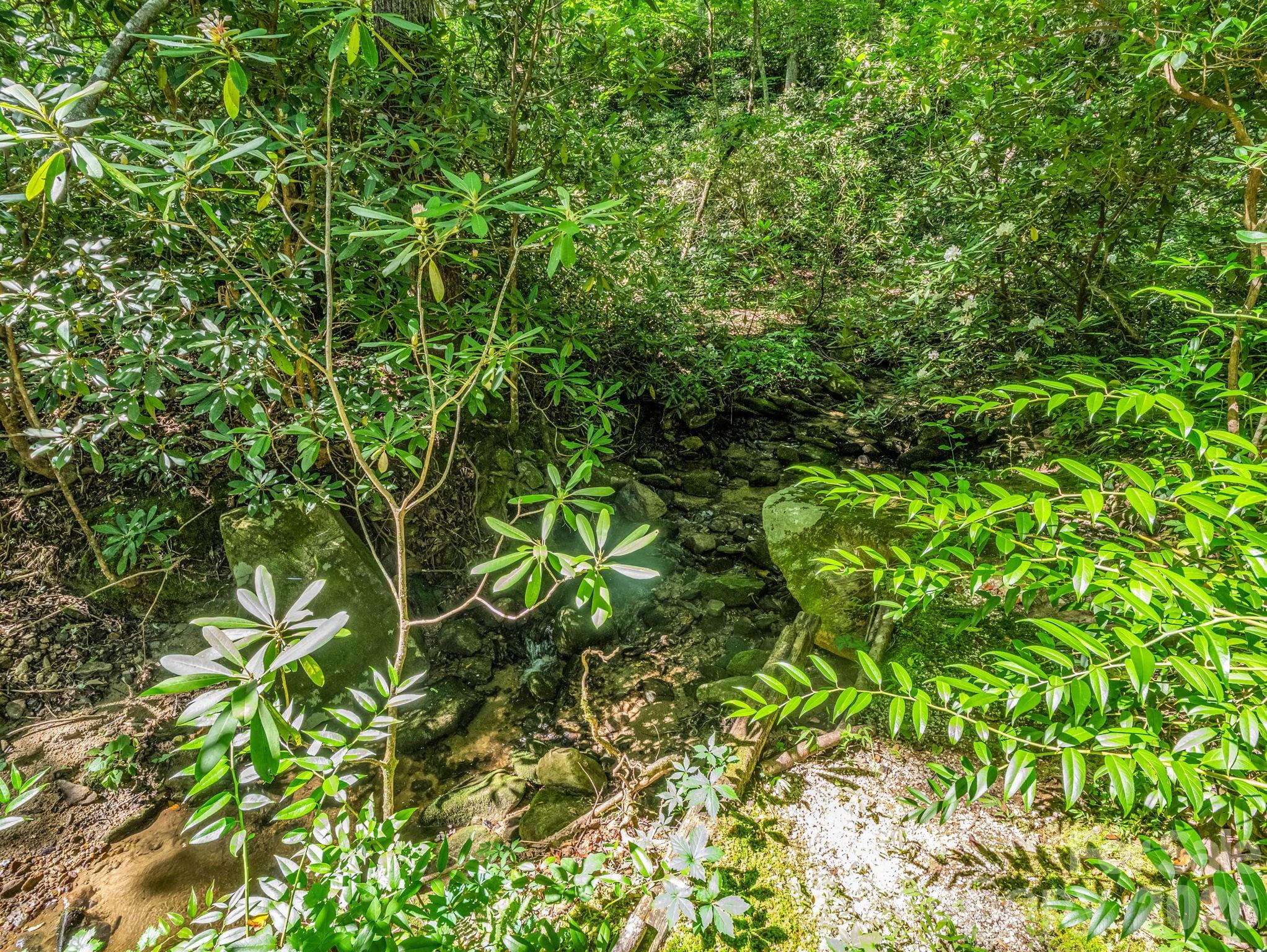 141 Hemlock Lane #3 — Lake Lure