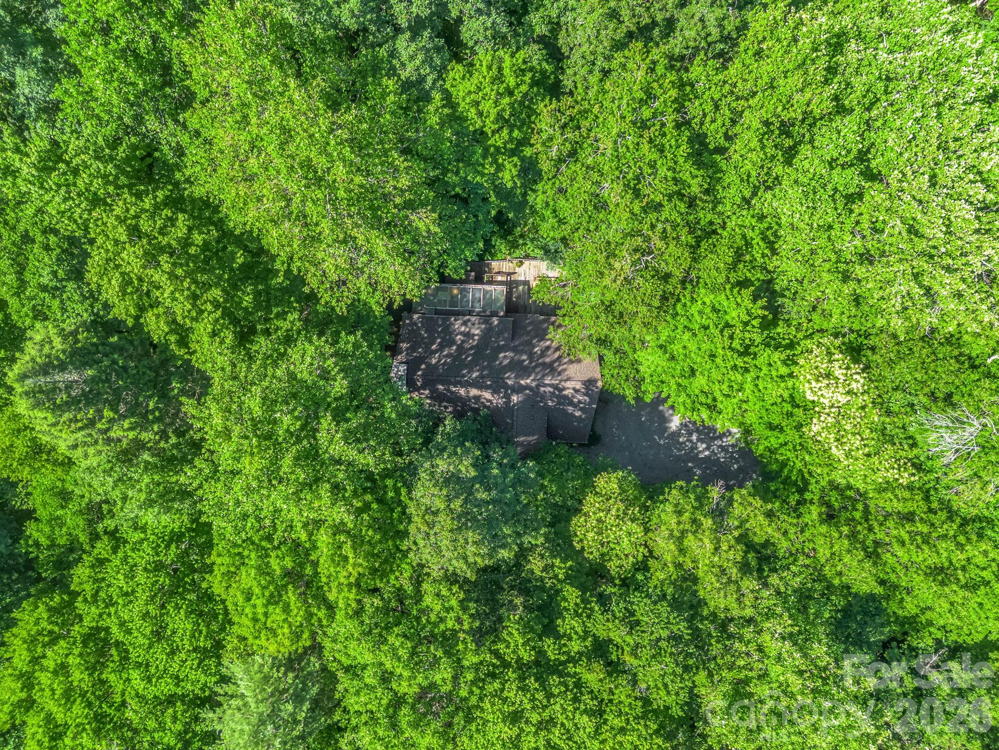 141 Hemlock Lane #3 — Lake Lure