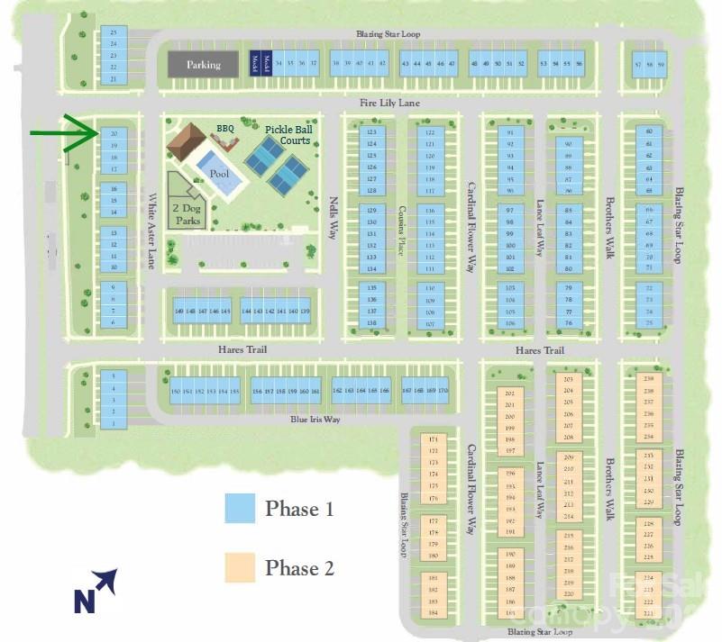 6067 White Aster Lane — Charlotte
