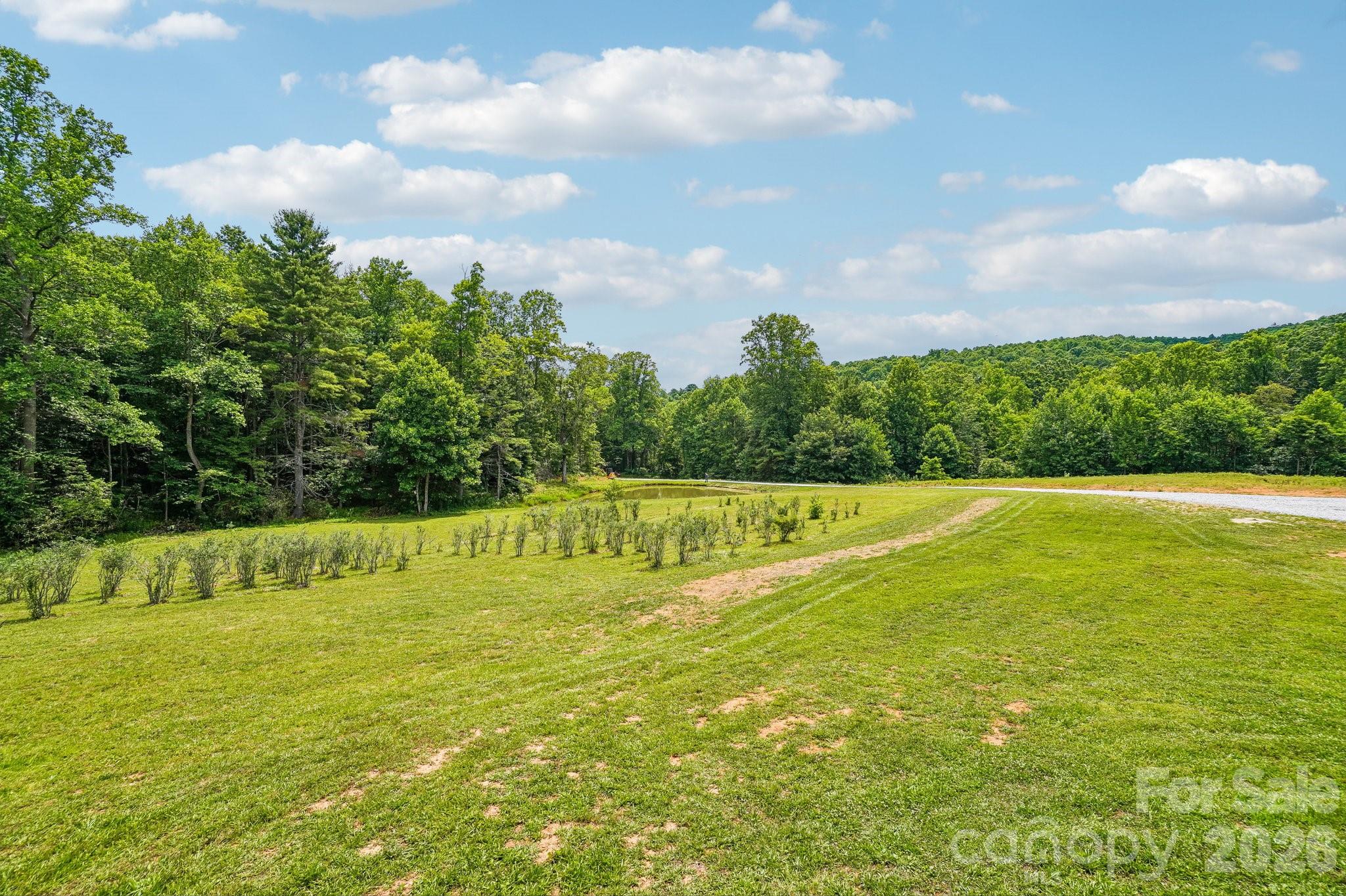 246 Appalachian None — Spruce Pine