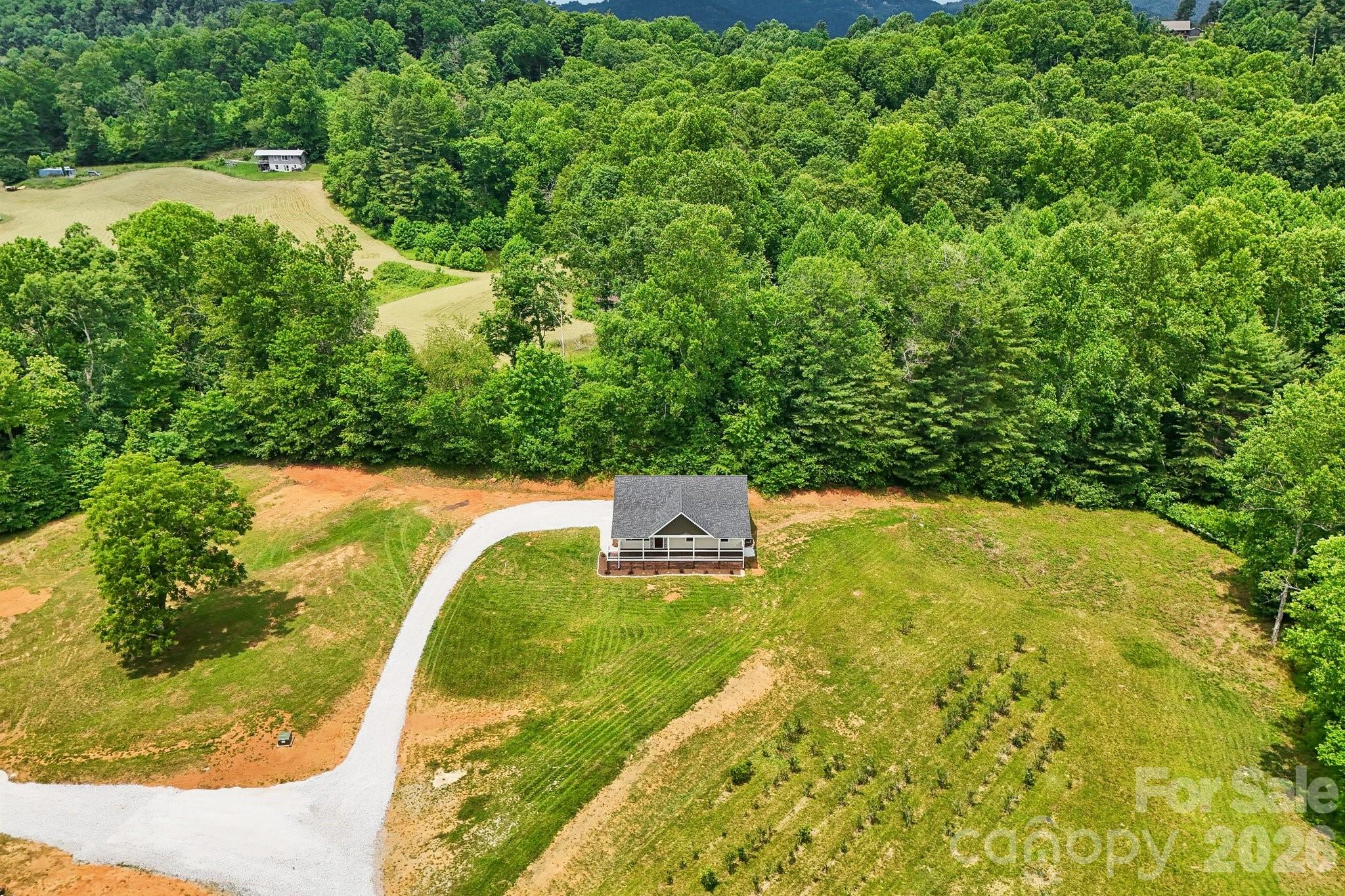 246 Appalachian None — Spruce Pine