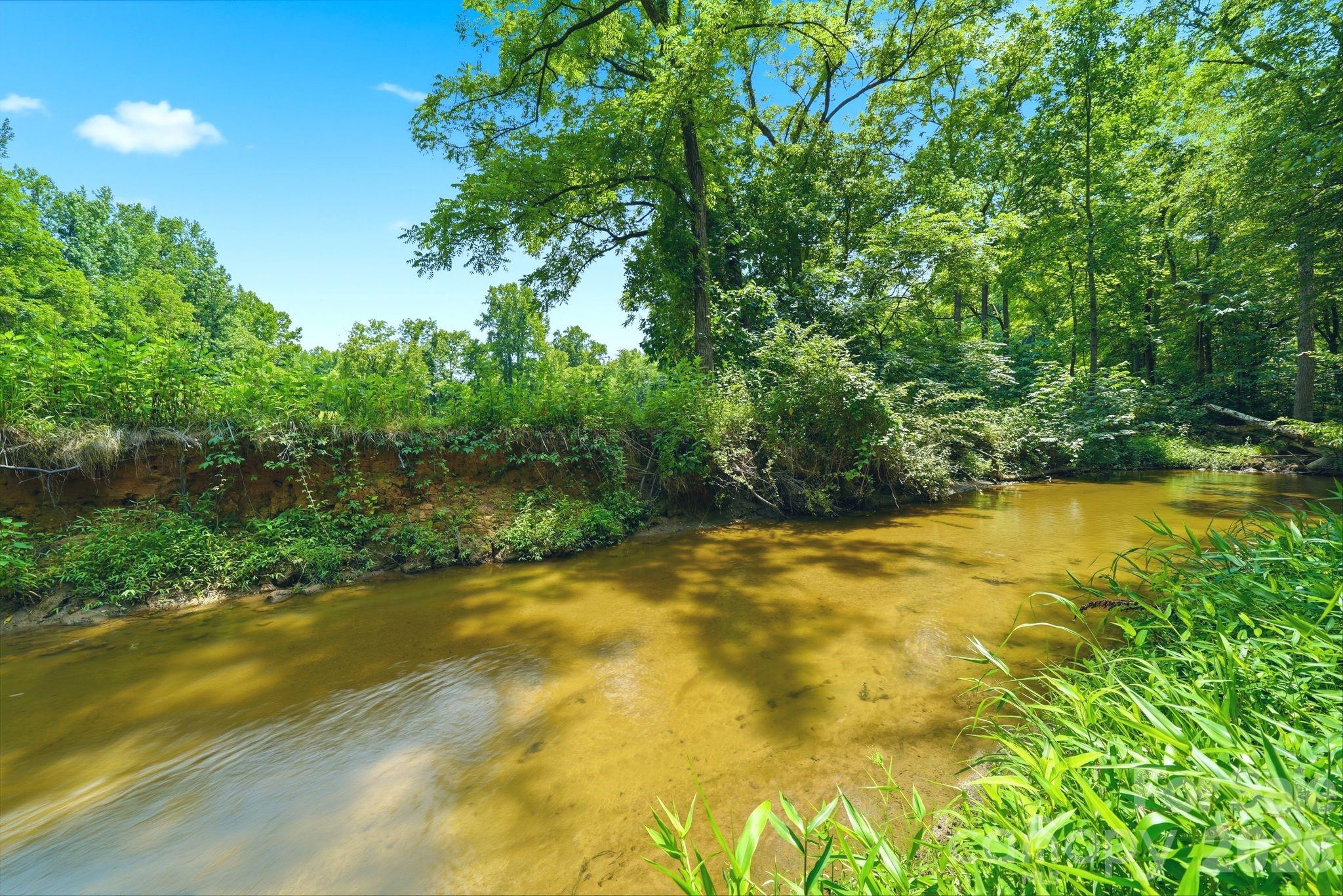 309 Walking Horse Trail — Davidson