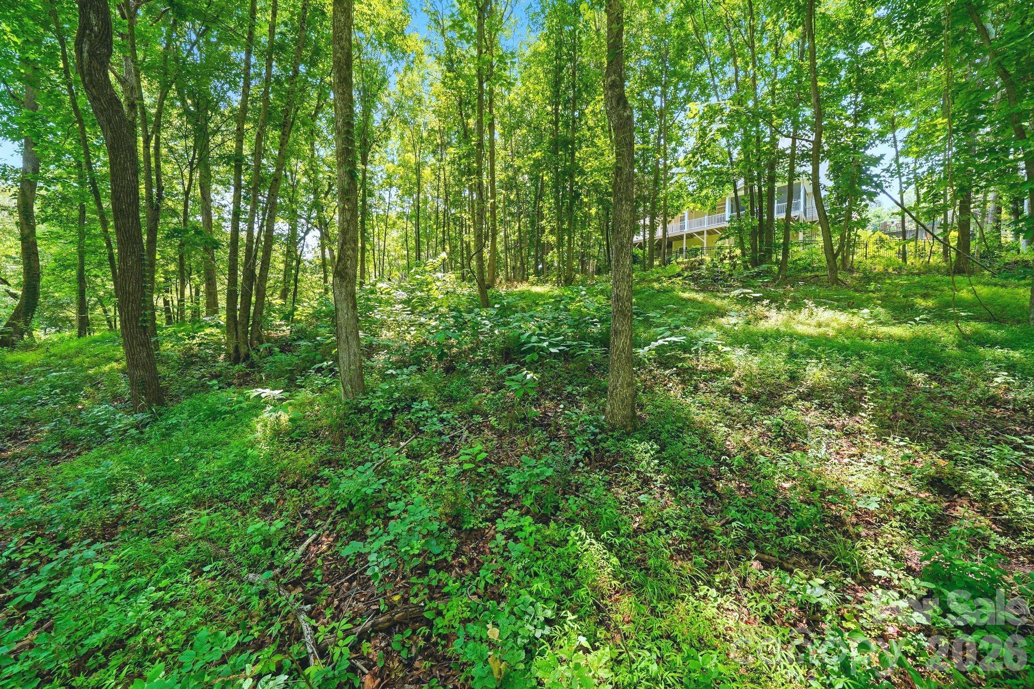 309 Walking Horse Trail — Davidson