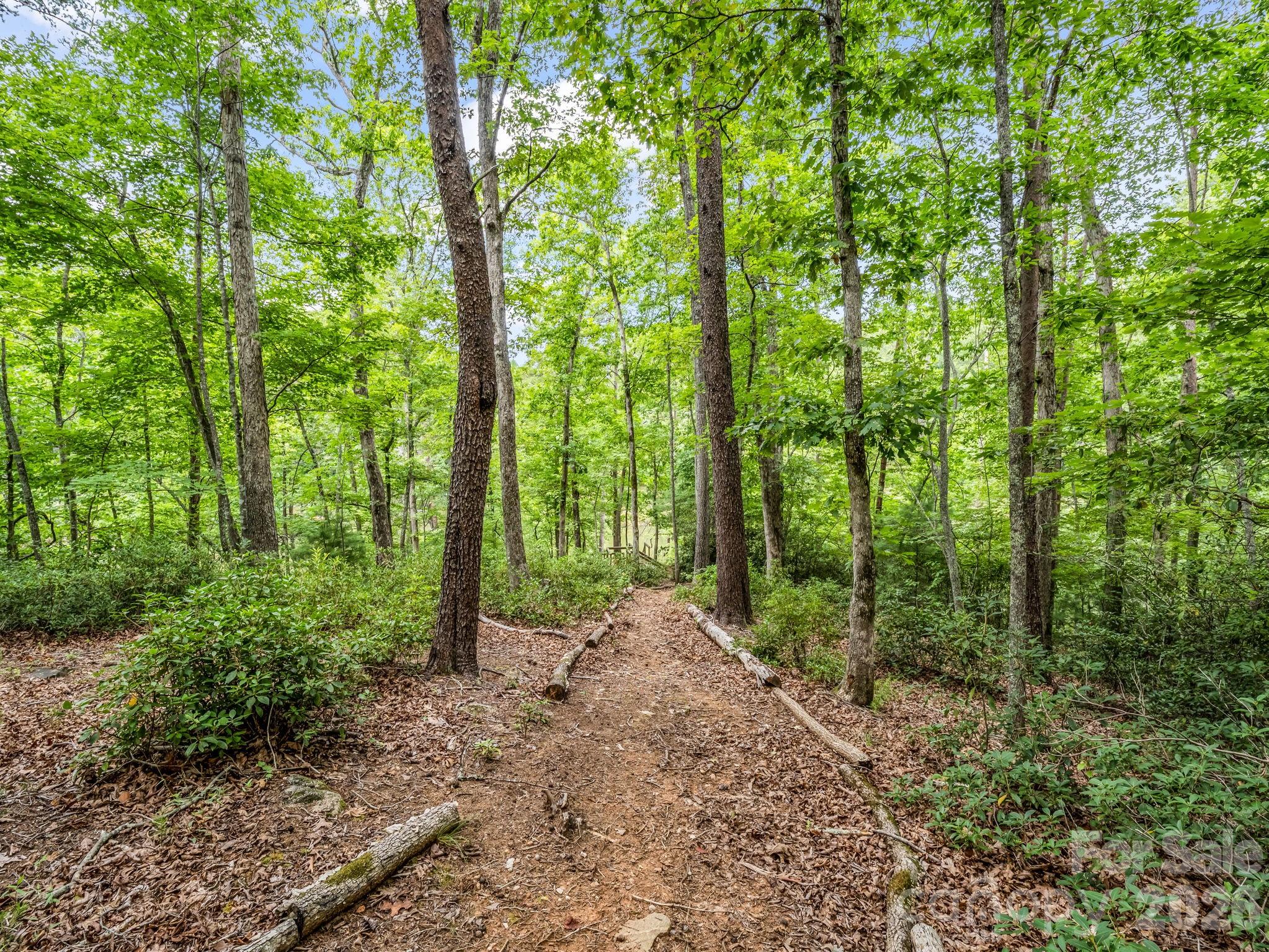 617 South Cove Road — Mill Spring