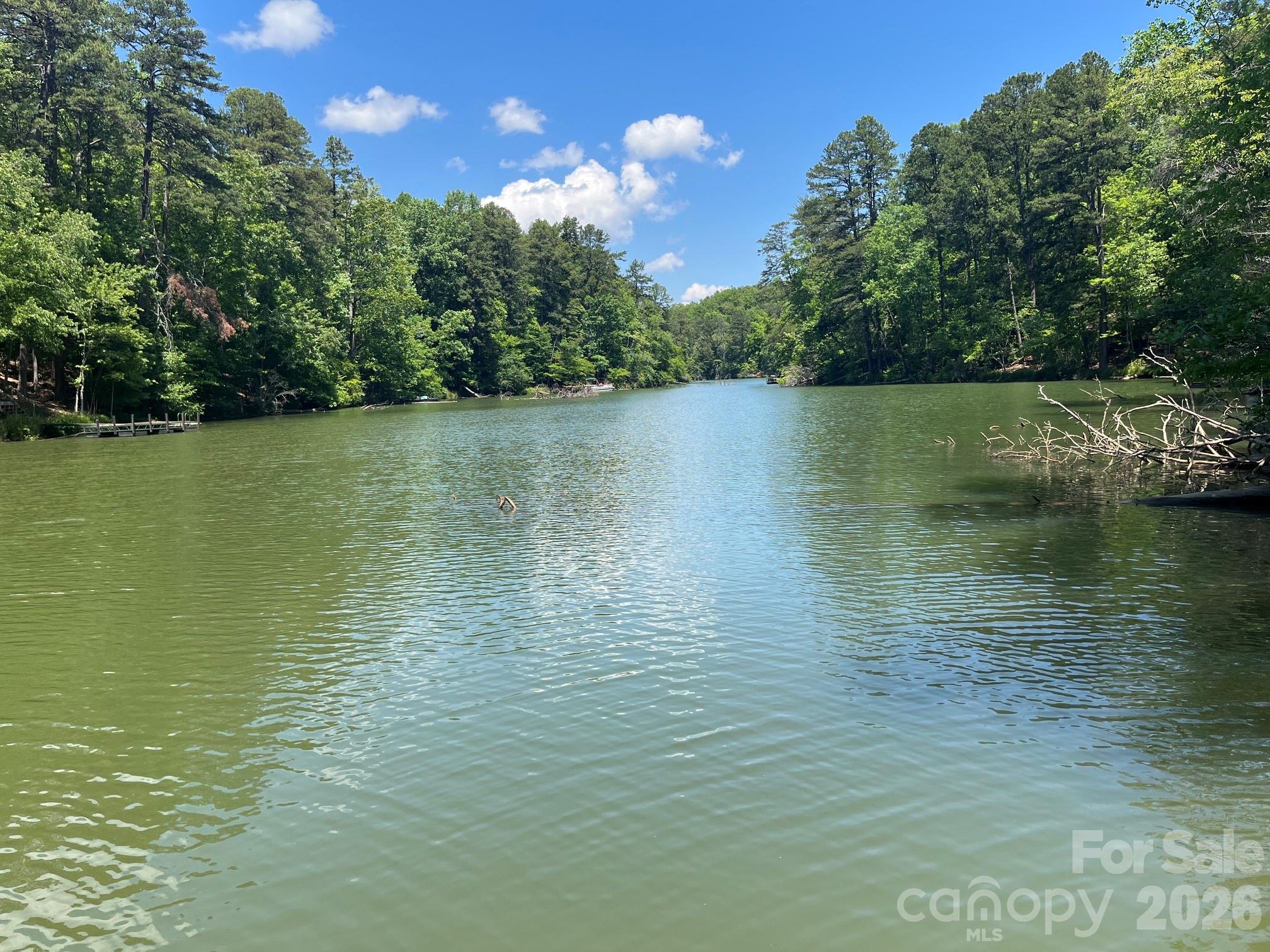 617 South Cove Road — Mill Spring