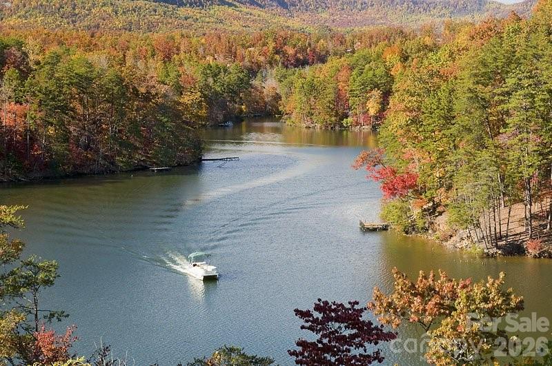 617 South Cove Road — Mill Spring