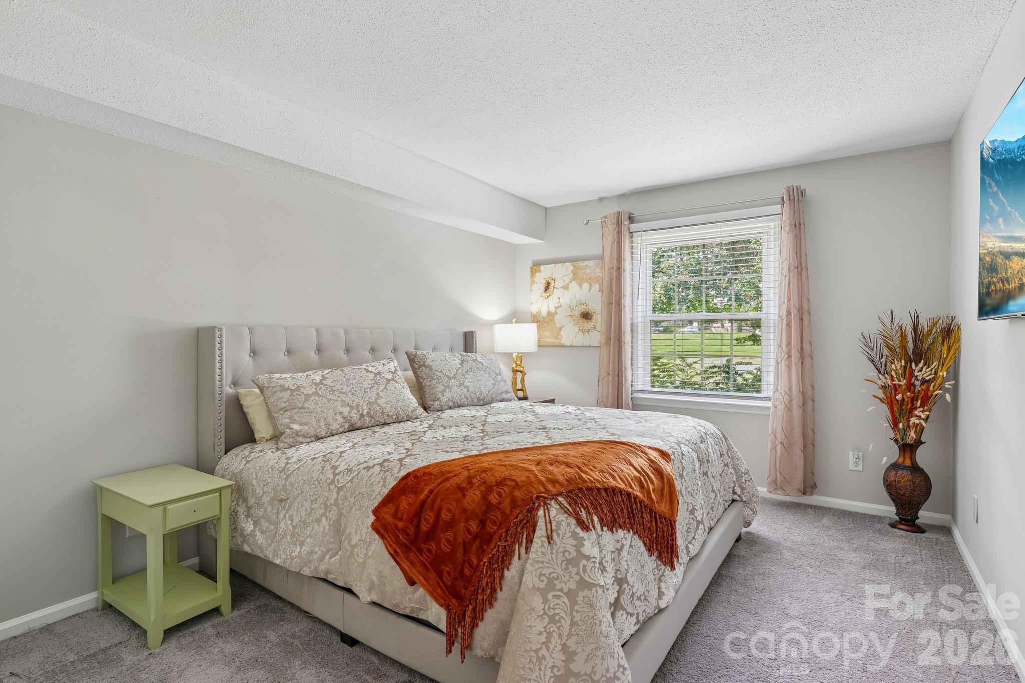 4736 Hedgemore Drive — Charlotte