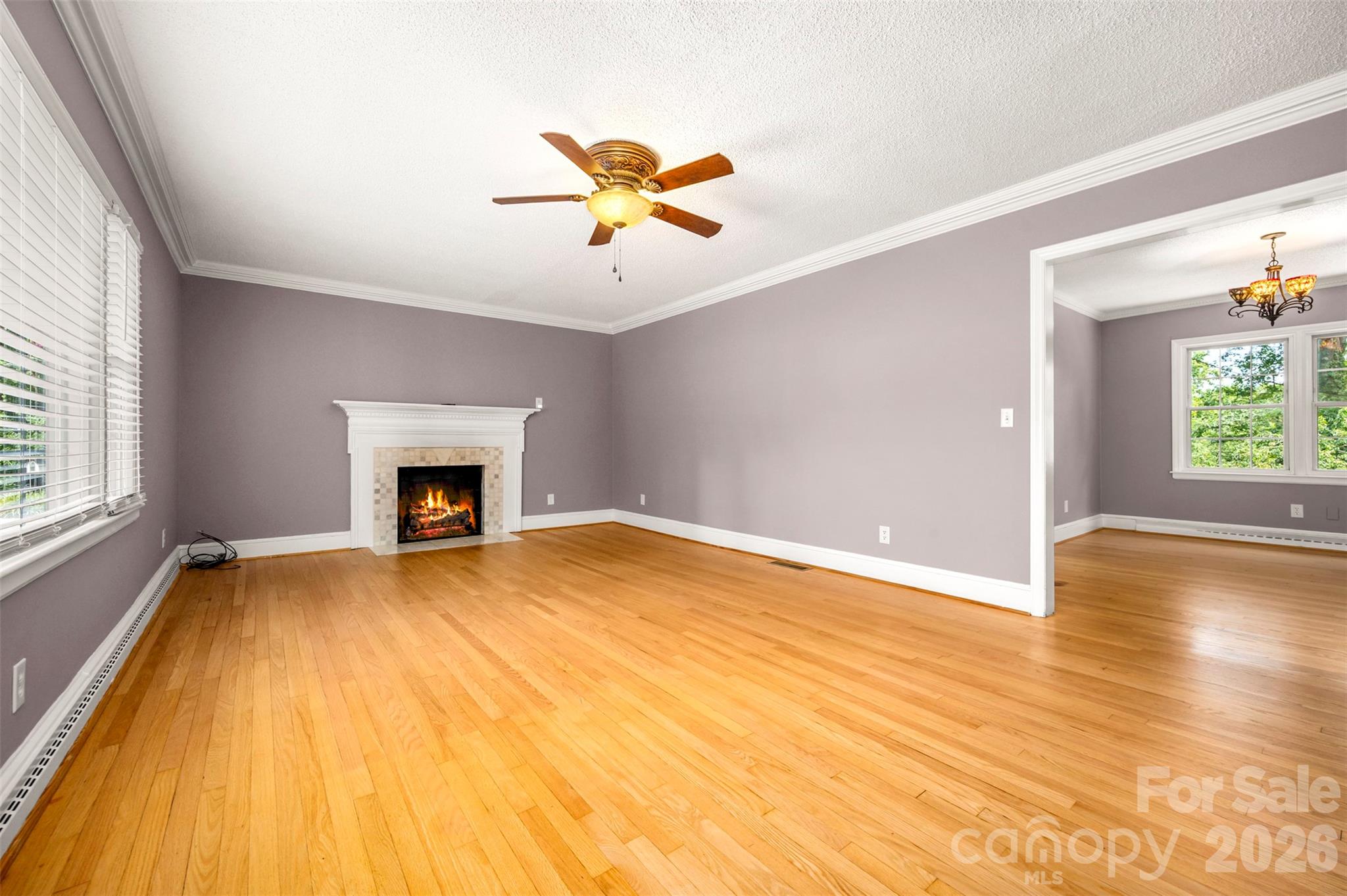 303 Elizabeth Avenue — Forest City
